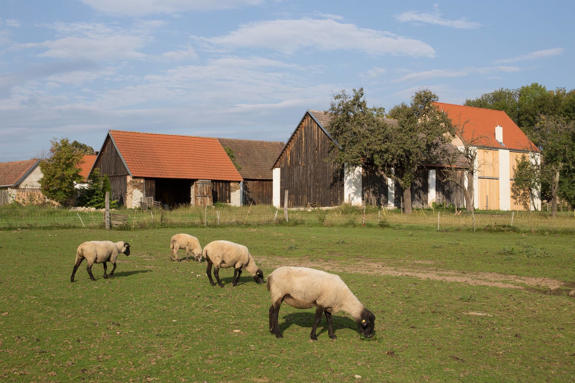 Bei der traditionellen Hofform sind Wohnhaus, Stall und Scheune in Reihe hintereinander angeordnet.