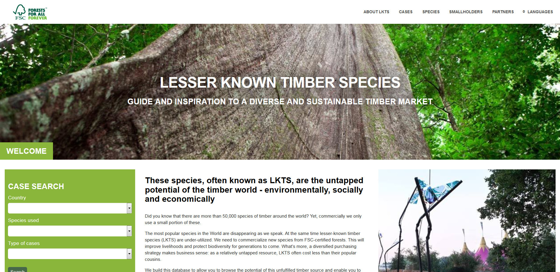 Internet Magazin Für Holz Und Ausbau Holz Linkliste