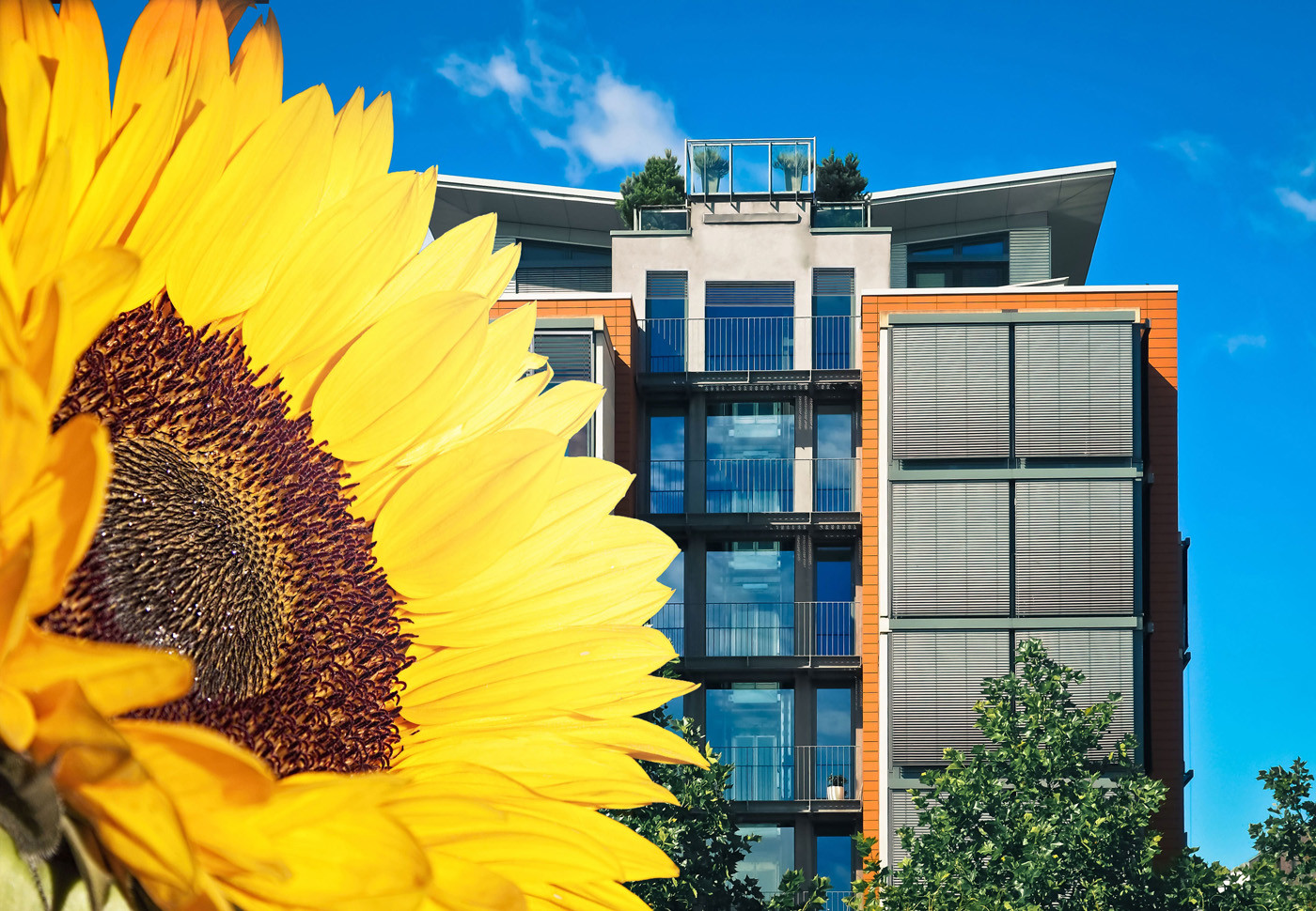 Die monokristallinen Zellen an den Außenseiten der Lamellen folgen ähnlich einer Sonnenblume dem Sonnenstand und können dadurch einen maximalen Energieertrag erreichen.