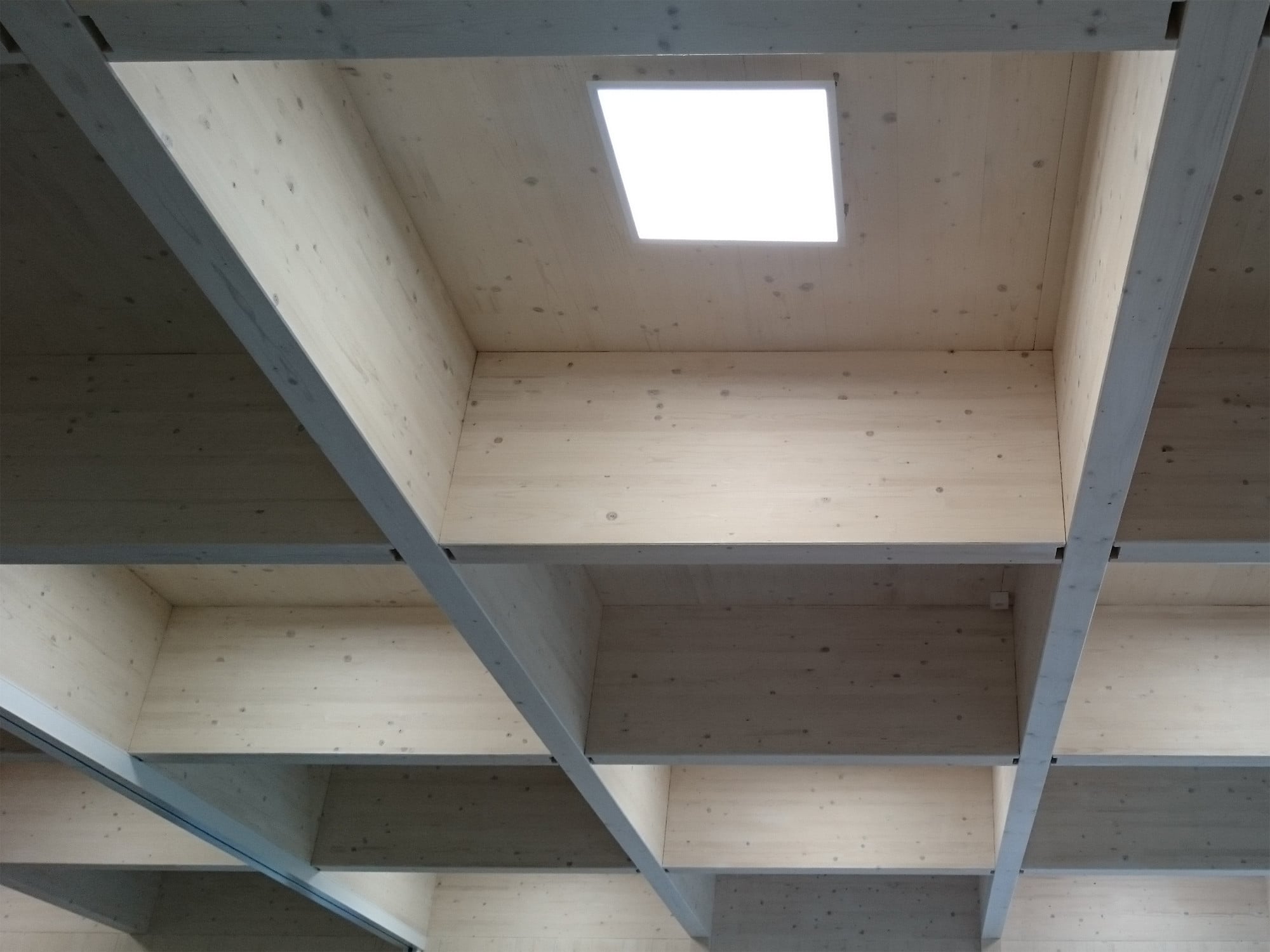 Holz ist anisotrop, das heißt seine Eigenschaften unterscheiden sich stark in Abhängigkeit von der Faserrichtung.