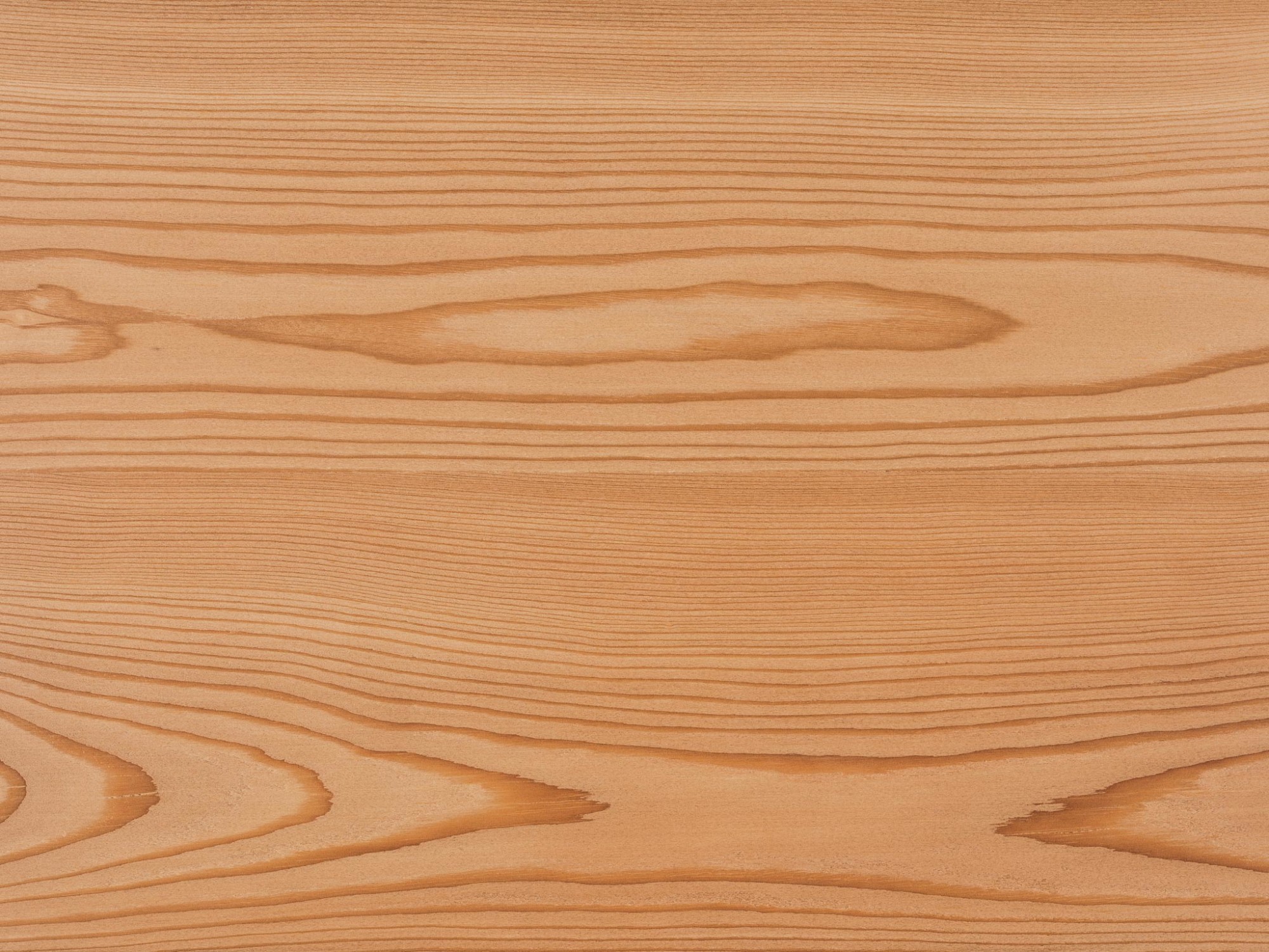 Holzarten und ihre Verbreitung Holz Werkstoff Holz