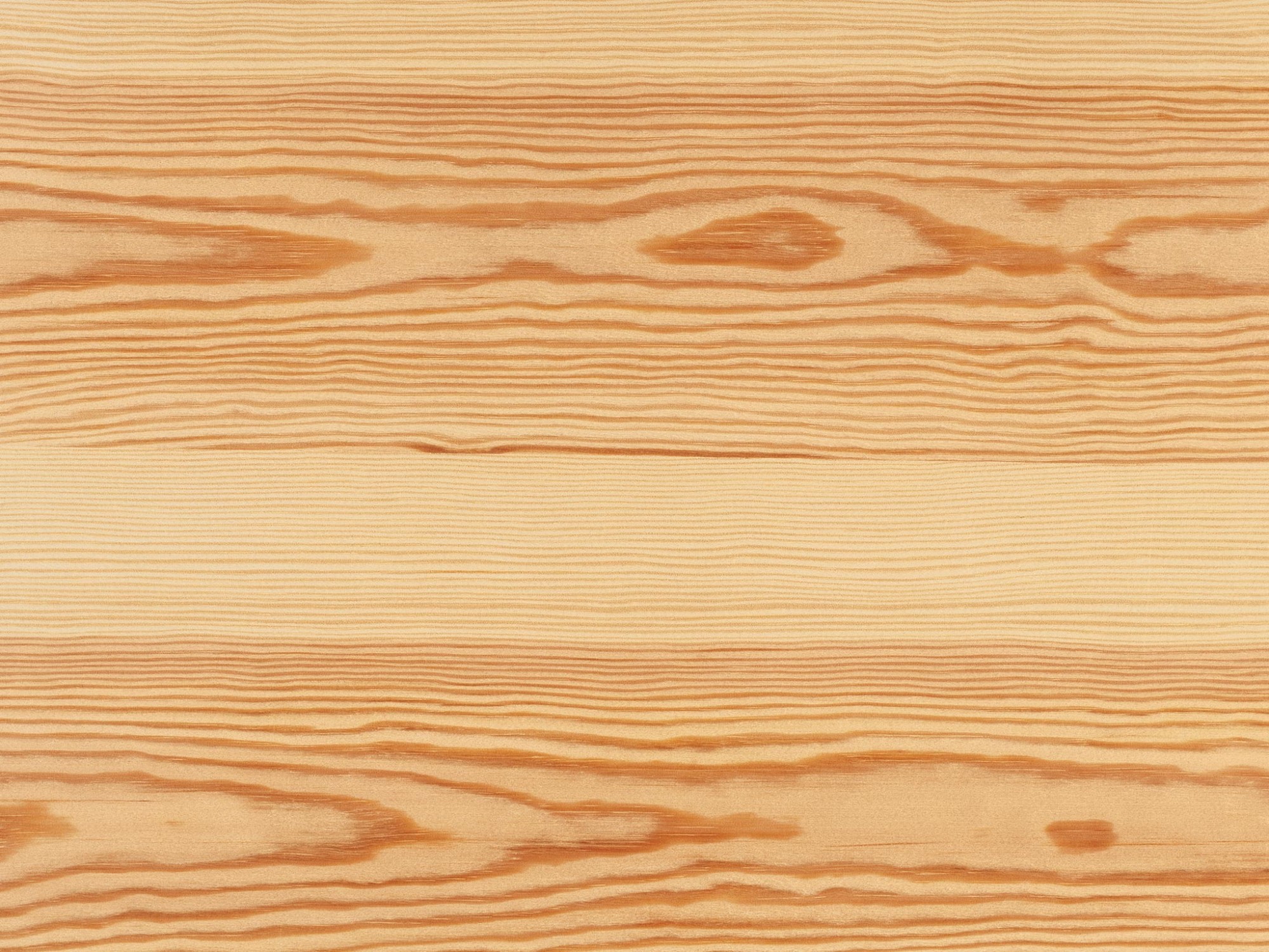 Holzarten und ihre Verbreitung Holz Werkstoff Holz