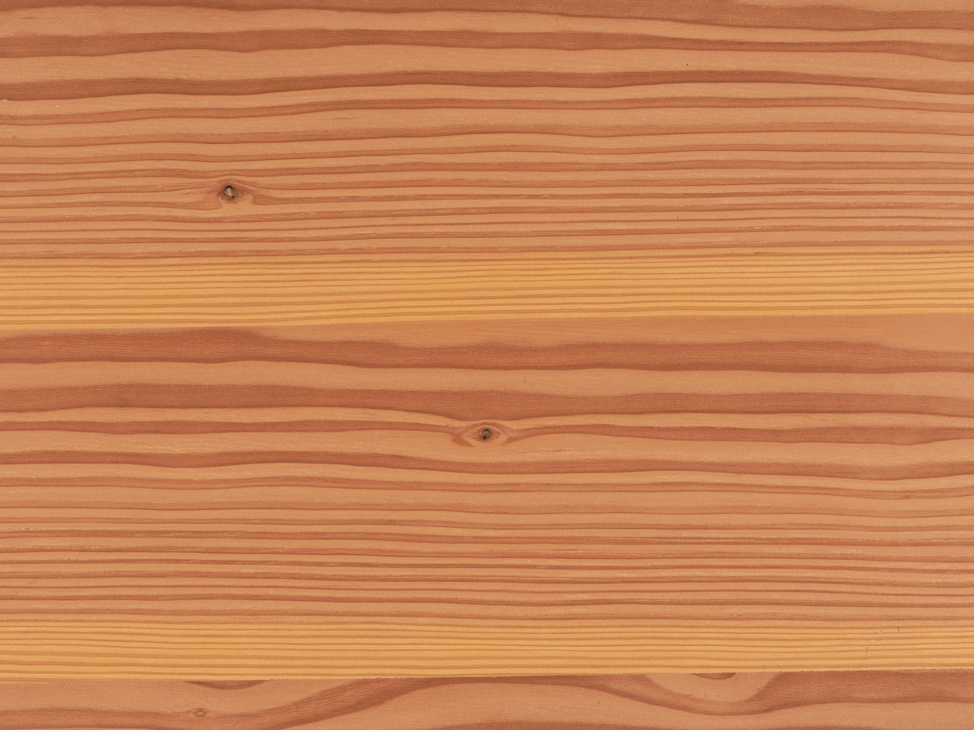 Holzarten und ihre Verbreitung Holz Werkstoff Holz