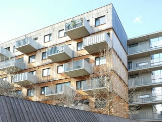 In der Praxis sind Holzkonstruktionen heute meist Mischkonstruktionen verschiedener Bauweisen oder Hybride mit anderen Materialien wie Stahl oder Beton (im Bild: Geschosswohnungsbau in Wien, geplant von querkraft architekten und Berger + Parkkinen Architekten, Wien).