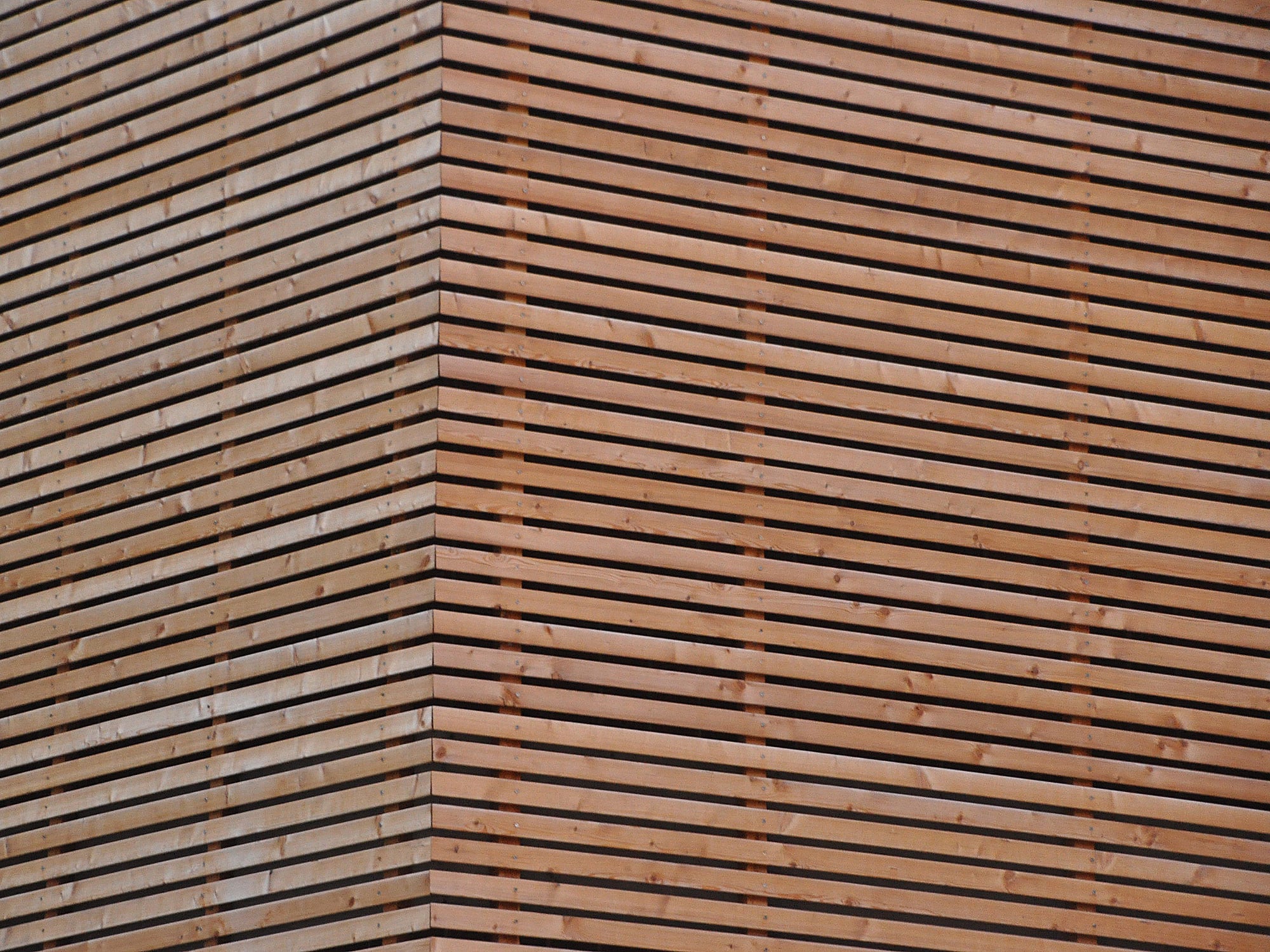 Latte | Holz | Glossar | Baunetz_Wissen