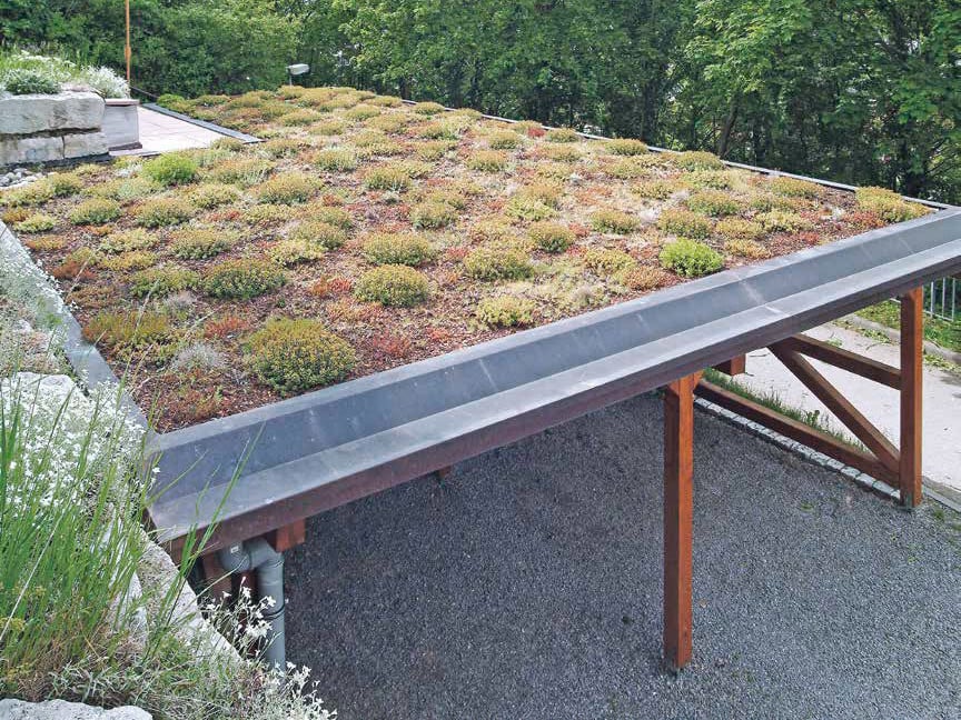 Trockenresistente Dachbegrünung - 47 Blumen & 7 Gräser Für 3m²