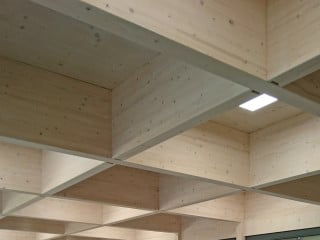 Trägerroste kommen als Tragwerksentwurf sinnvoll bei annähernd quadratischen Grundrissen in Frage.
