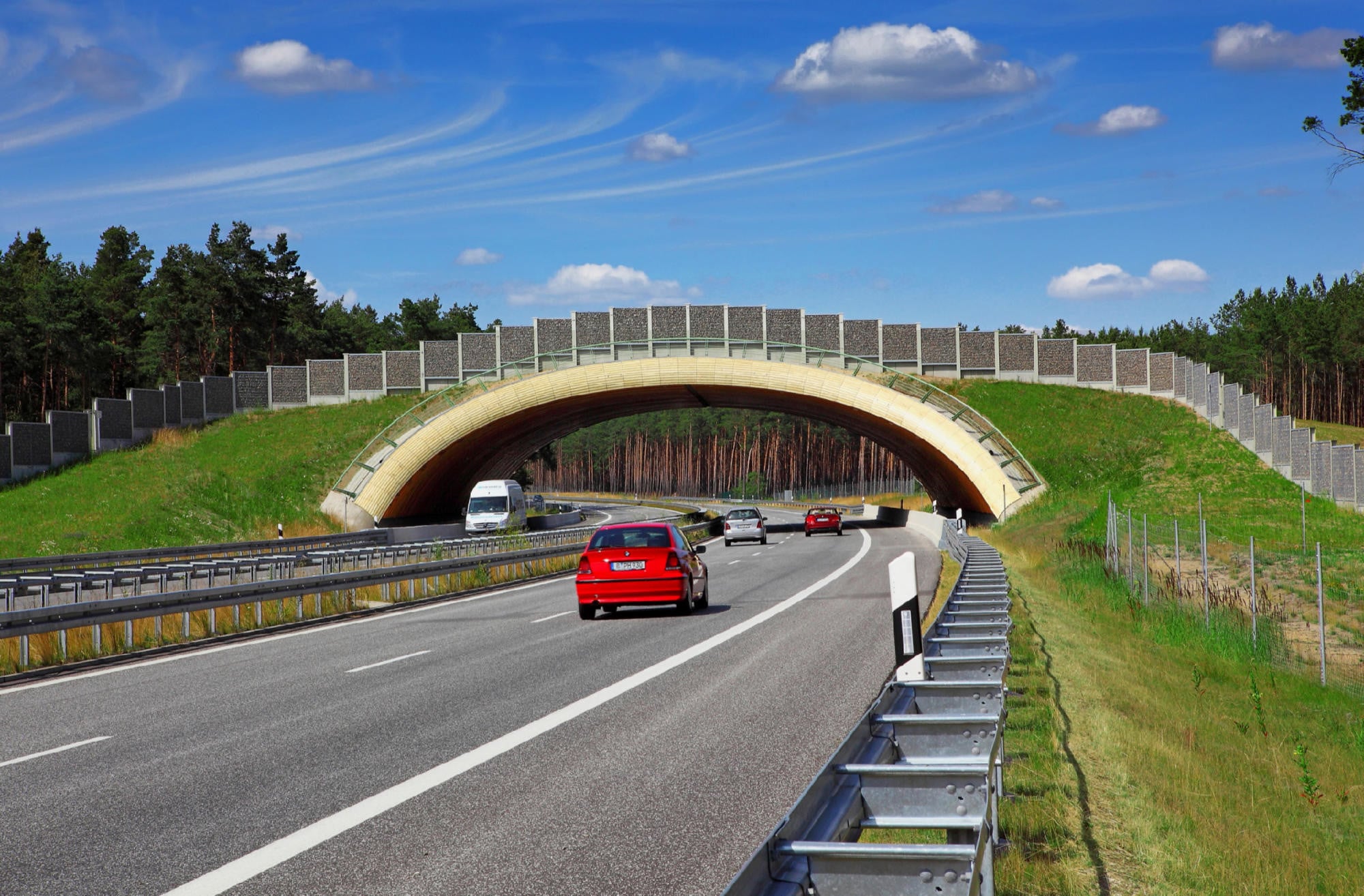 Grünbrücke Luckenwalde (2012)