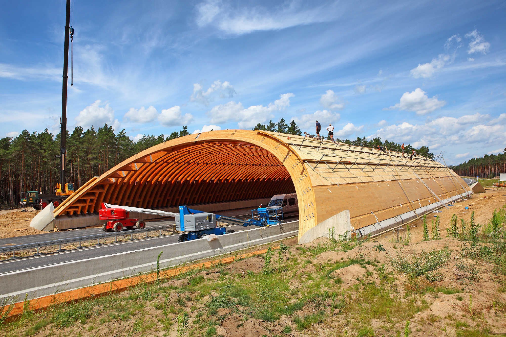 Wildbrücke Luckenwalde: Bis zu sieben Meter erdüberschüttete, korbbogenförmige und ein Meter hohe Dreigelenkbögen mit 32 Meter Spannweite aus Lärchen-BSH GL 28h. Aussteifung mit gekrümmtem Brettsperrholz. 