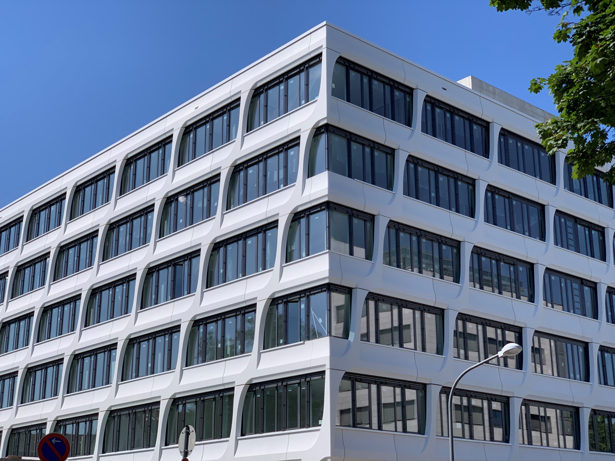 An nördlichen Neckarufer entsteht in Heidelberg ein heller, lichter Verwaltungsbau: die neue Konzernzentrale von HeidelbergCement.