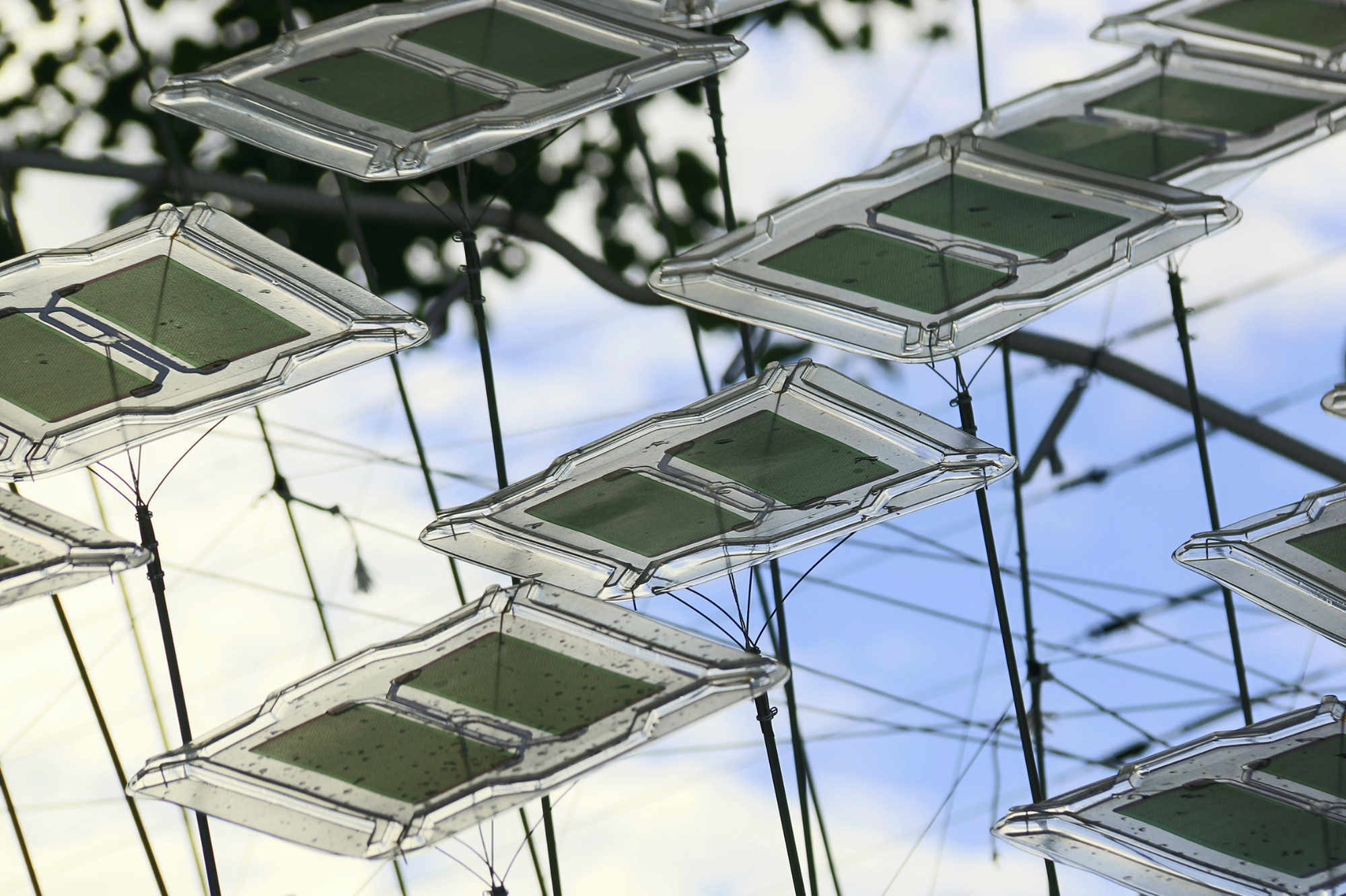Die Ultraleichtkonstruktion besteht aus 300 scheinbar frei schwebenden PV-Modulen.