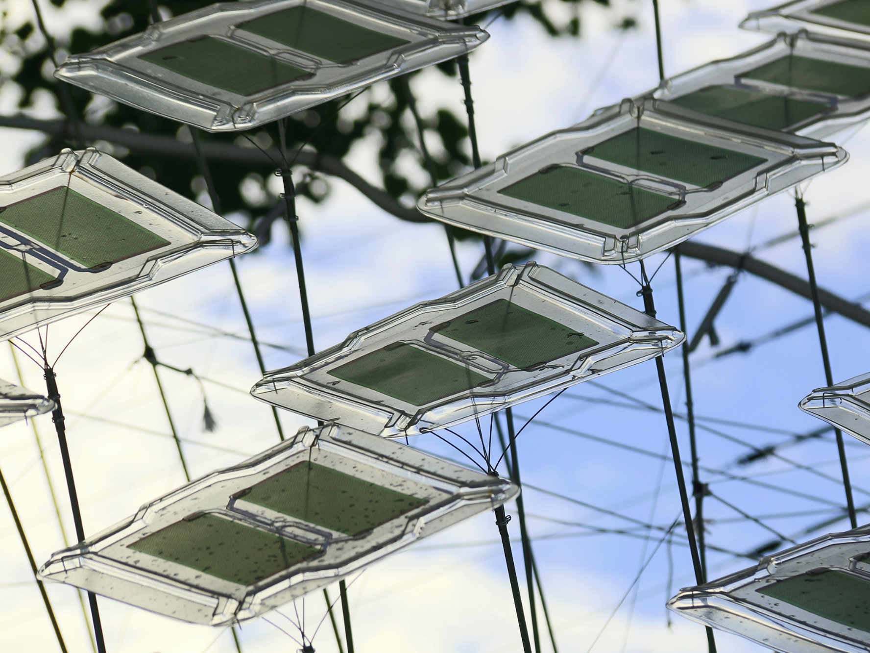 Solaren Energiegewinn und Verschattung produziert das futuristische Sonnensegel Solar Spline.