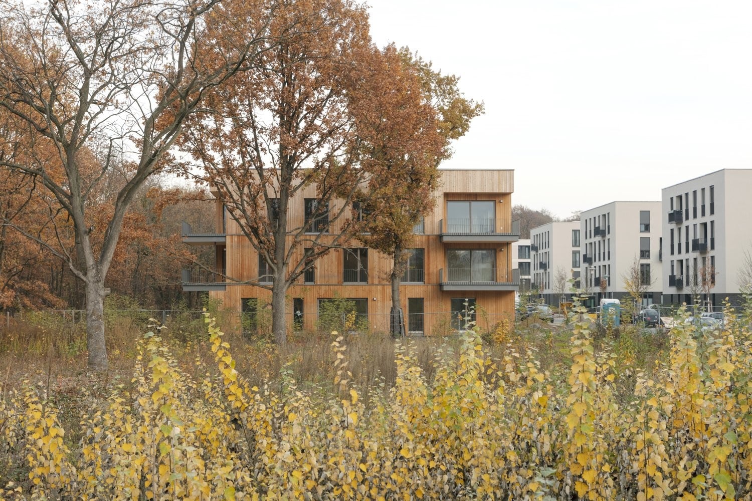 Durch seine Holzfassade hebt sich das Gebäude von der umgebenden Bebauung ab.