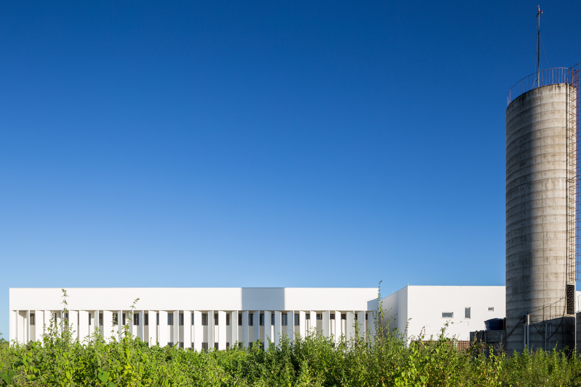 Rede Arquitetos haben den Didactic Block als eleganten Zweigeschosser geplant.