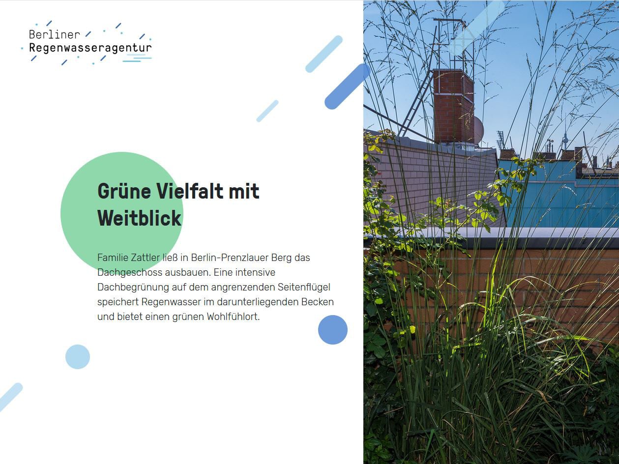 Die Agentur berät zu Fragen der Dachbegrünung, weiteren Maßnahmen der Bewirtschaftung von Regenwasser auf Grundstücken, Möglichkeiten der Gründachförderung sowie integrierter Regenwasserbewirtschaftung.