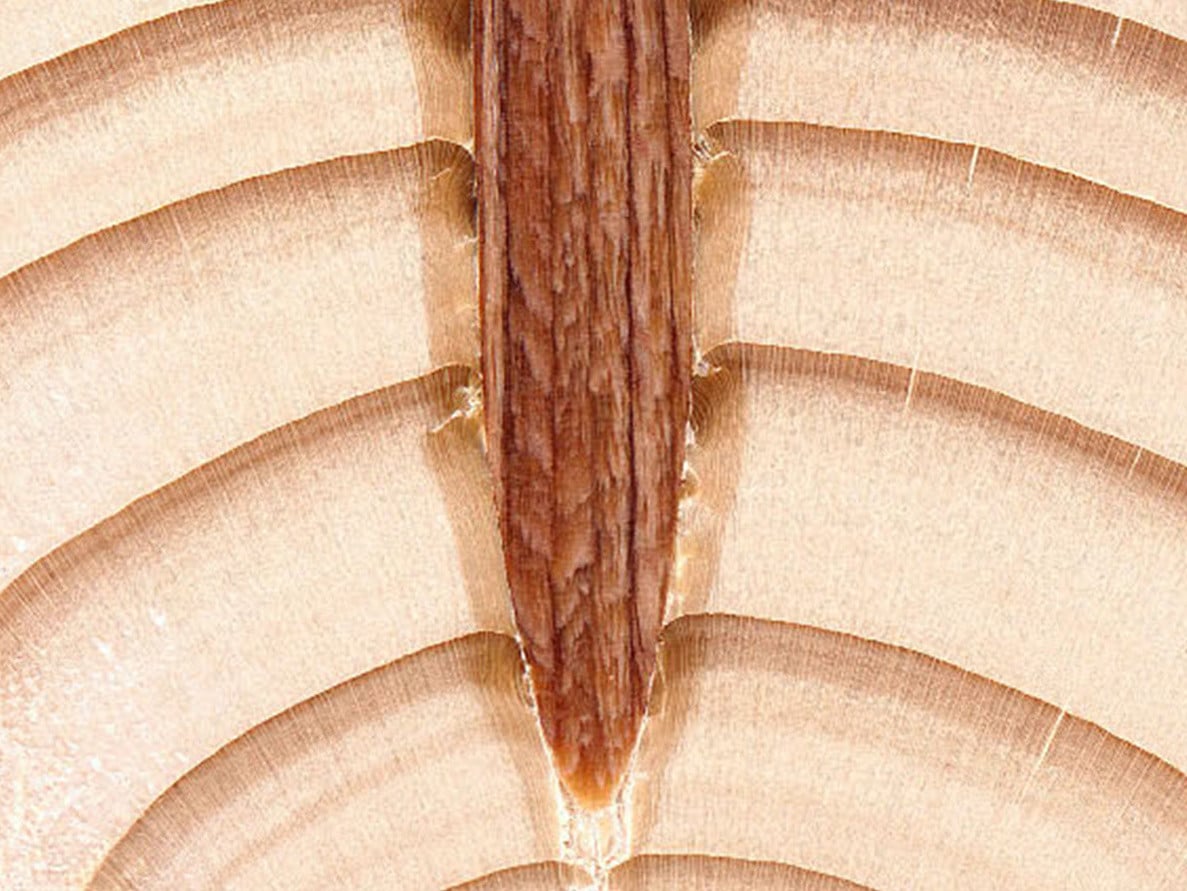 Die Nägel sind aus heimischem Buchenholz gefertigt.
