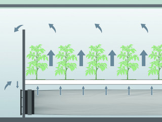 Bei der Schlauchbelüftung erfolgt die Luftzufuhr von unten. So sind die Blattunterseiten optimal mit CO2 versorgt.