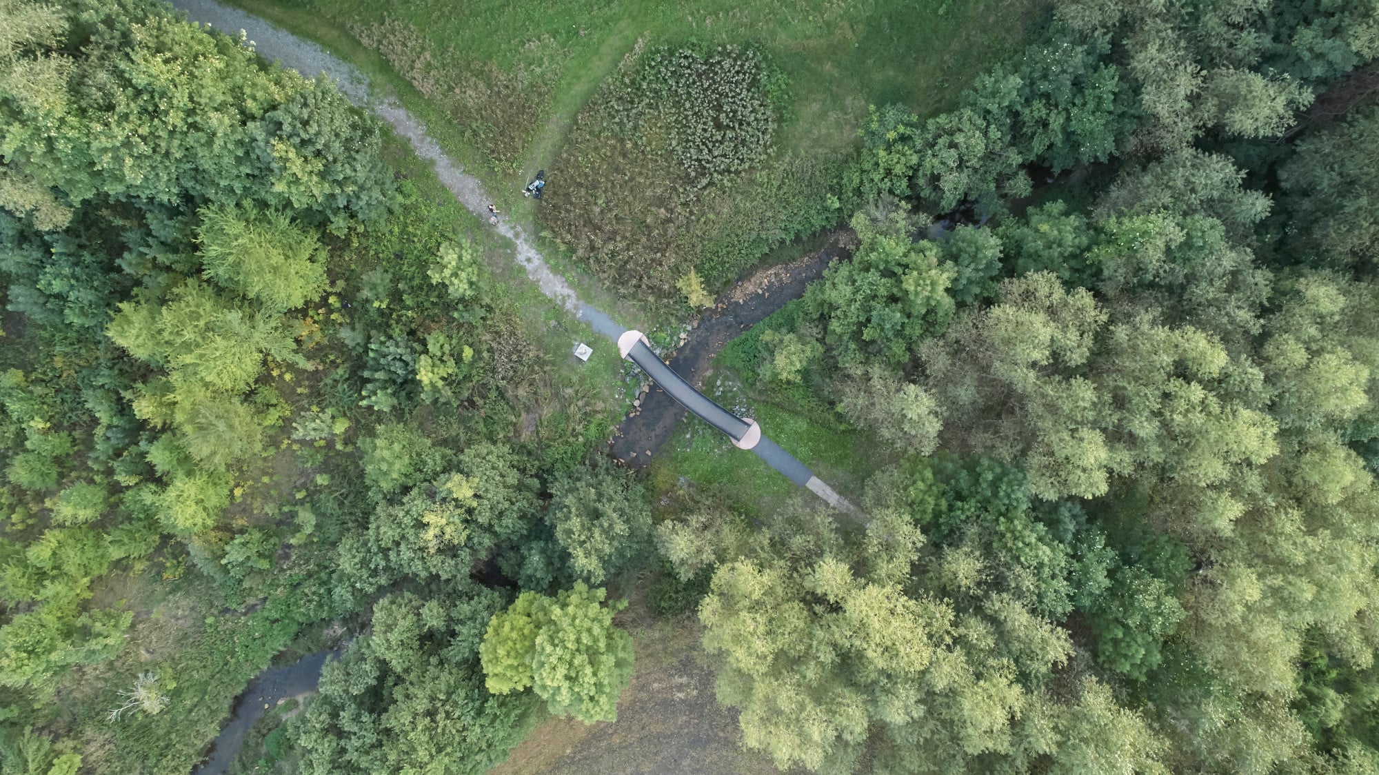Sie sitzt in einer stellenweise von Wildnis geprägten Landschaft.
