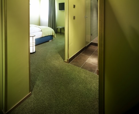 Grüner, hochfloriger Shag in einem Zimmer auf der dritten Etage