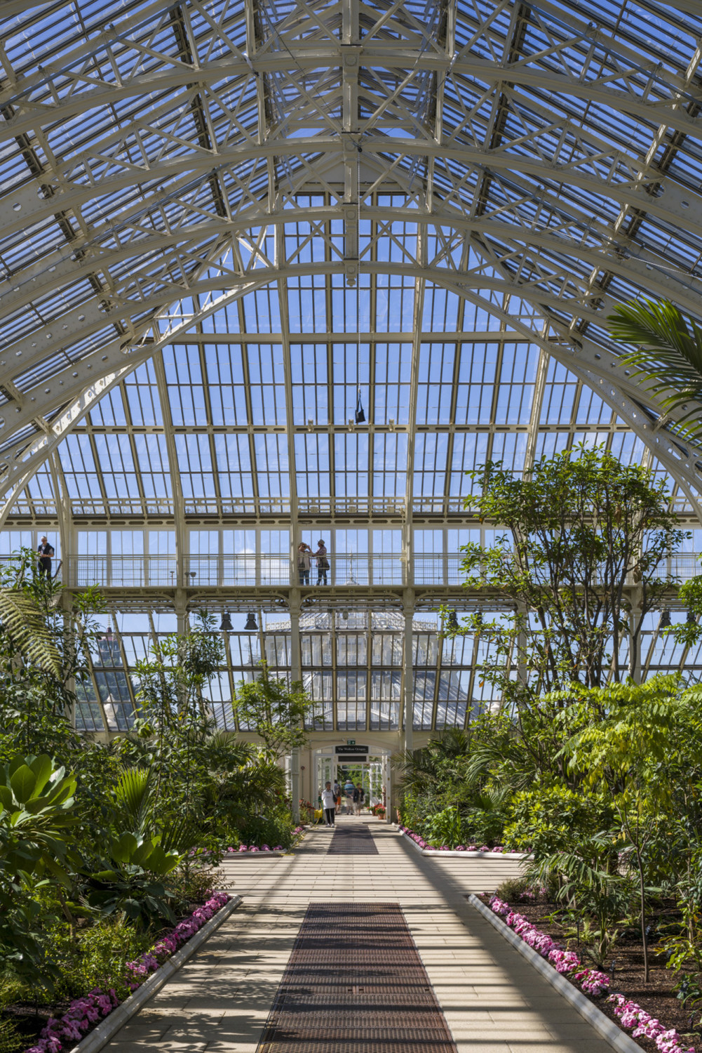 Das Temperate House wird mit einer Fußbodenheizung auf 10° C beheizt. Ventilatoren simulieren eine konstante natürliche Luftbewegung.