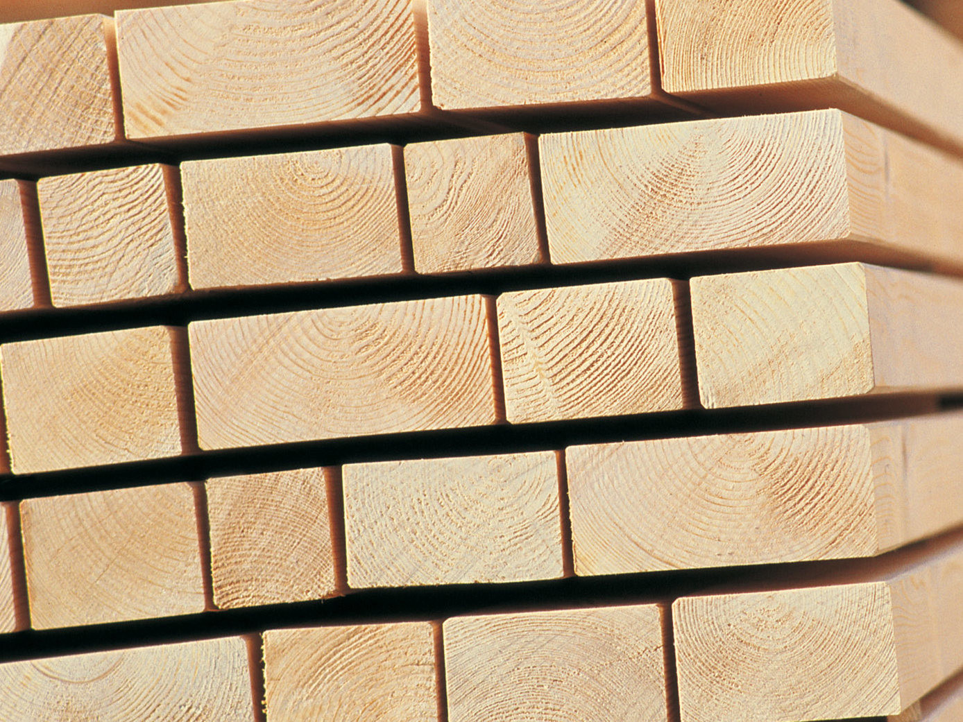 Unter dem Markennamen Zunftholz wird ein umfassendes Sortiment an Holzbauprodukten angeboten; die Auswahl reicht von Schnittholz über Leimholz bis zu Hobelware.