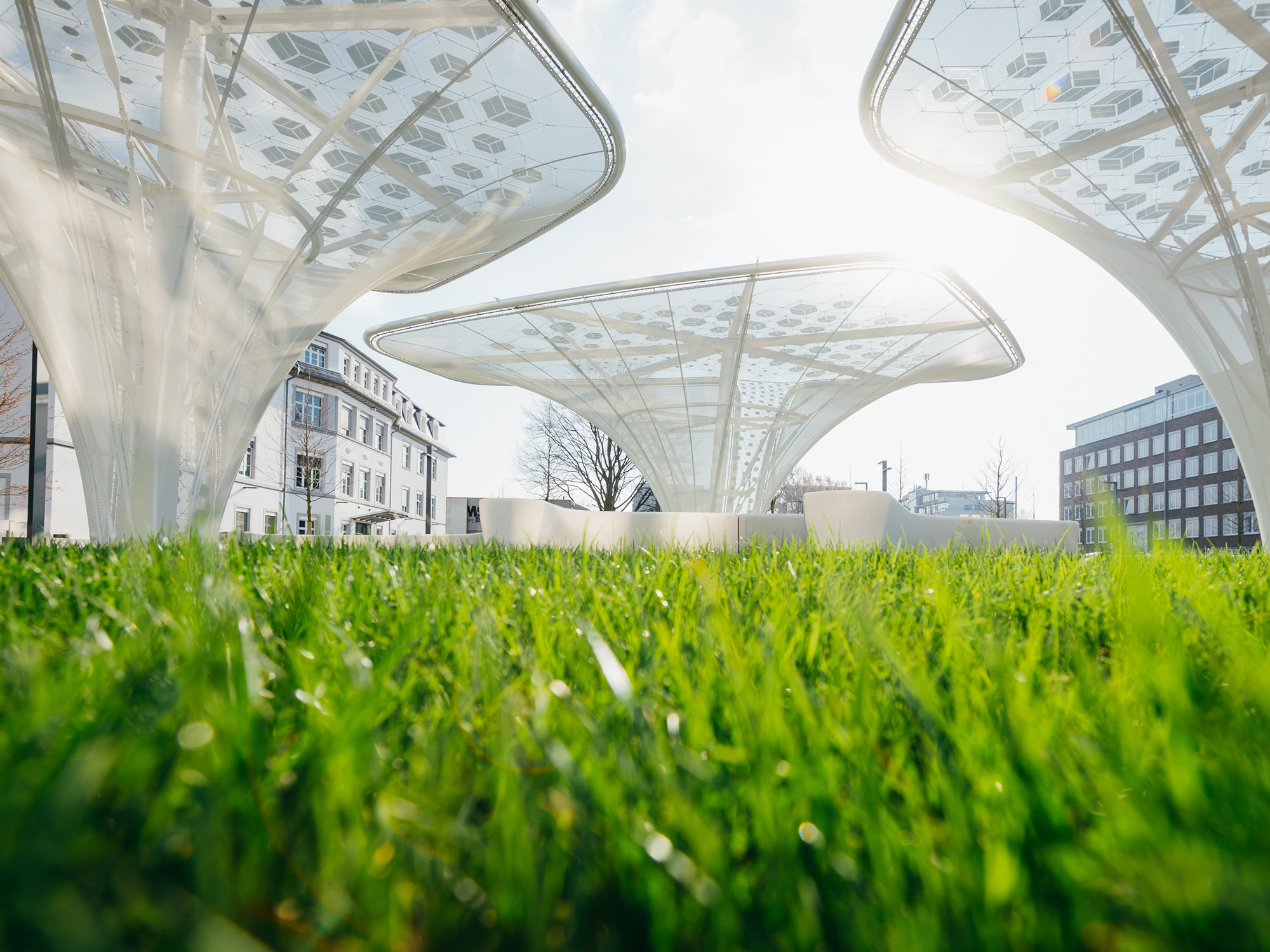 Solar Trees mit organischer Photovoltaik auf dem Merck-Gelände in Darmstadt, 2018