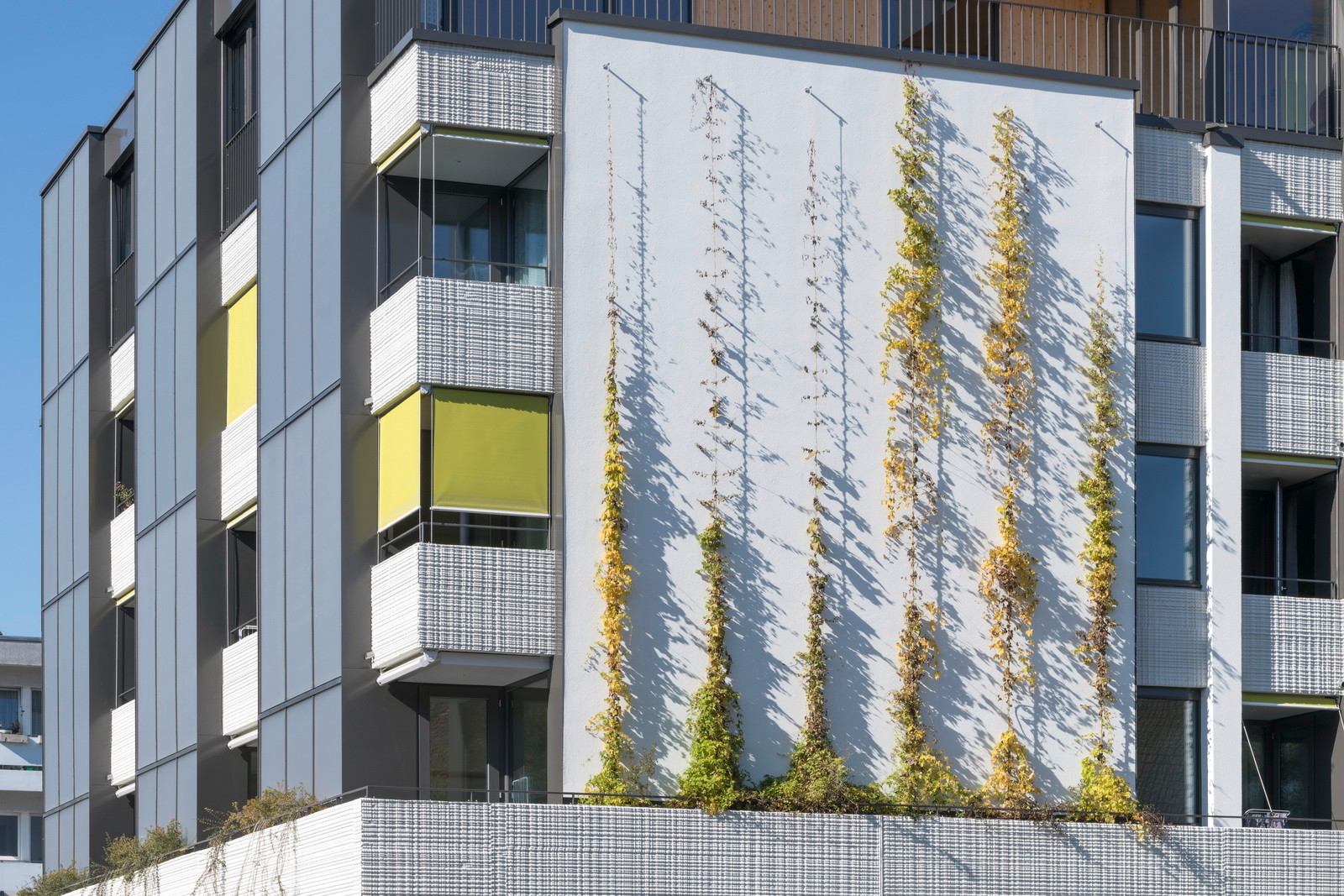 Über dem Erdgeschoss sind Betontröge für eine Begrünung des Gebäudes vorhanden. Fassadenbegrünungen schützen die Außenwände vor zu starker Sonneneinstrahlung und können so ebenfalls zur Energieeinsparung beitragen.