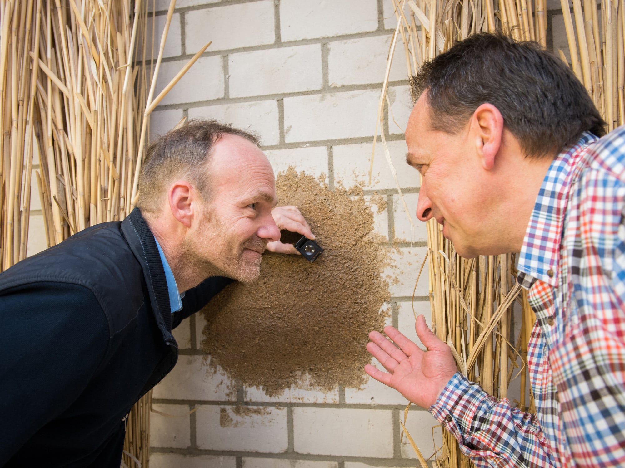 Prosseor Ralf Pude (links) und Michael Petry vom Institut für Naturpflanzenwissenschaften und Ressourcenschutz an der Universität Bonn haben einen Hochleistungs-Dämmputz aus nachwachsenden Rohstoffen entwickelt.