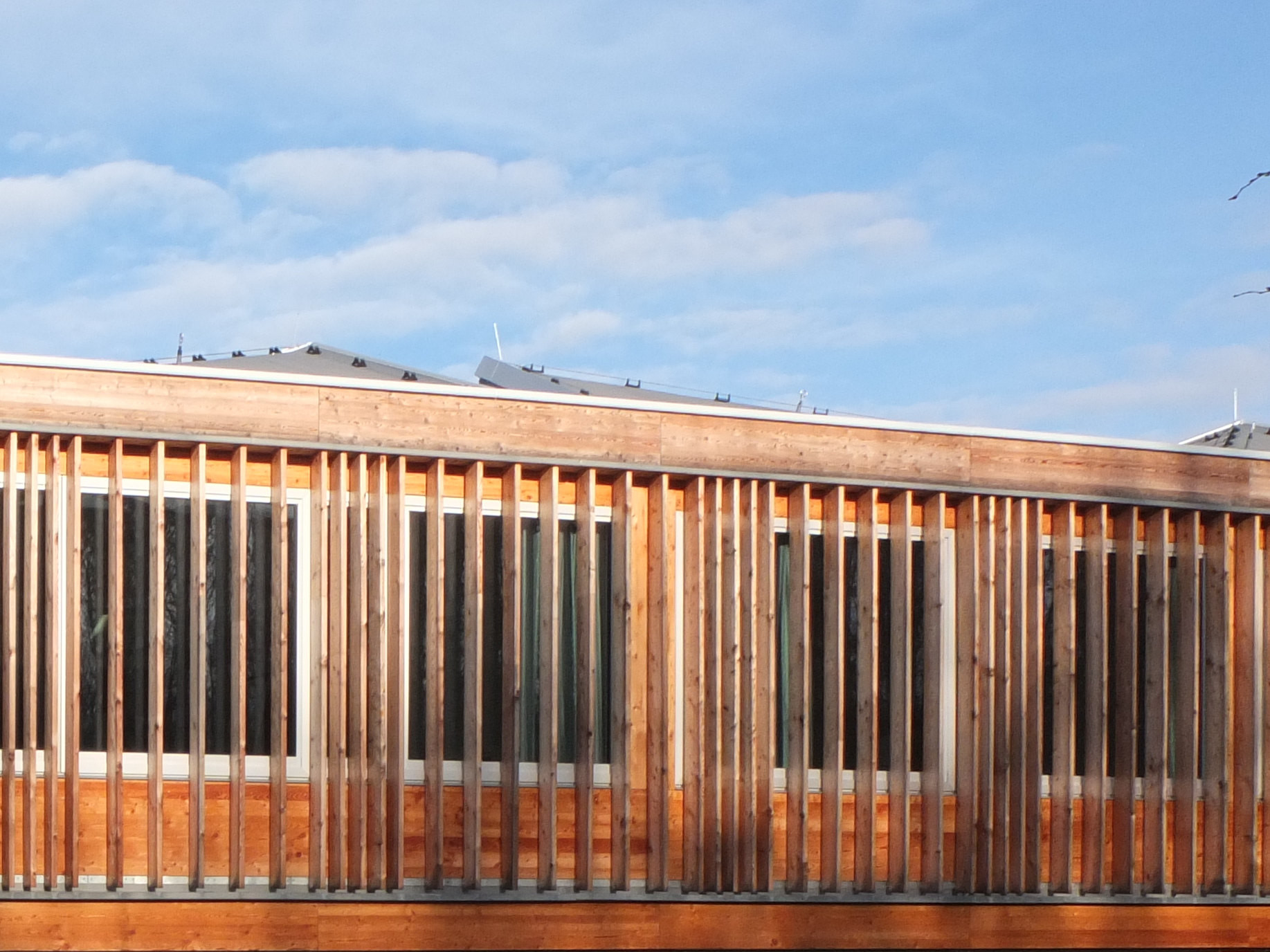 Flachdachkonstruktionen aus Holz bedürfen eines sensibel geplanten und ausgeführten Schichtenaufbaus.