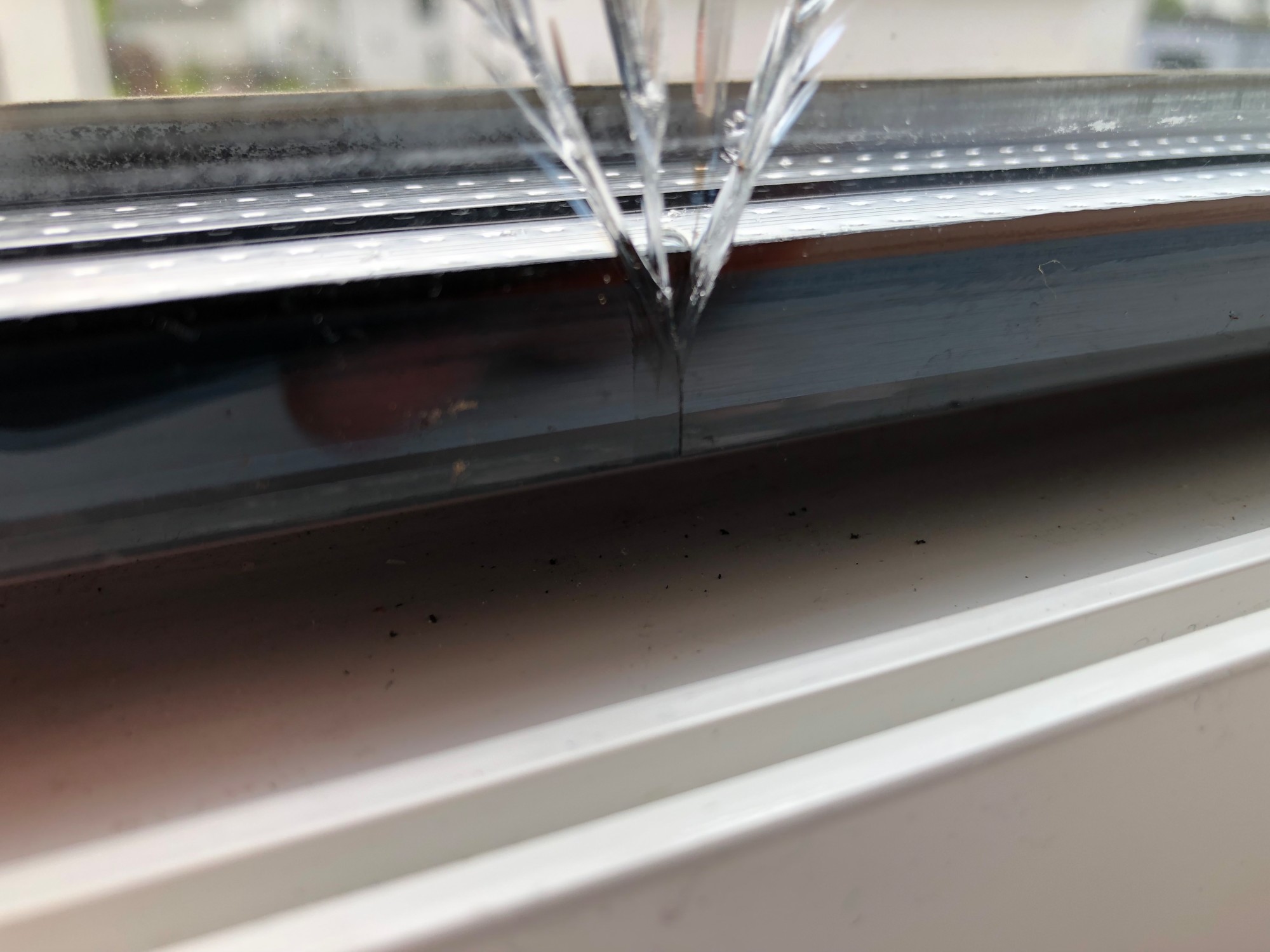 Bruchursprung eines Thermobruchs mit orthogonal zur Glaskante verlaufendem Riss und anschließender Auffächerung