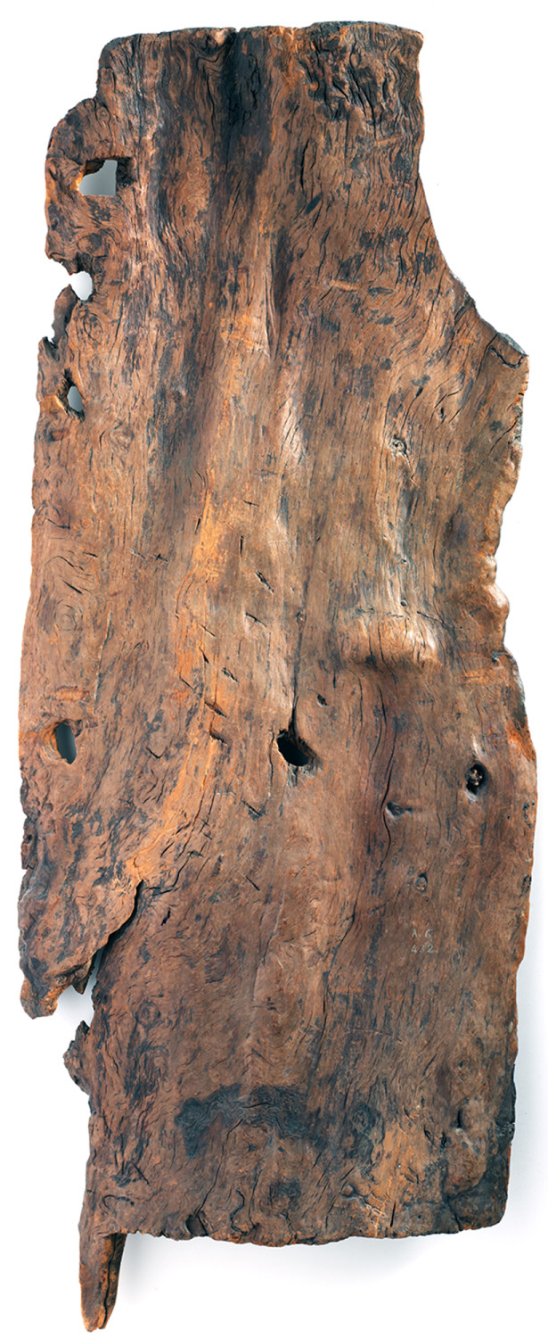 Im Schweizerischen Nationalmuseum in Zürich befindet sich eine ca. 5.500 Jahre alte Holztür, also aus der Steinzeit, die im Robenhauserried gefunden wurde. Dieser Türflügel ist 1,60 m hoch, 65 cm breit, zwischen 3 und 6 cm dick und gilt als eine der ältesten Türen Europas.