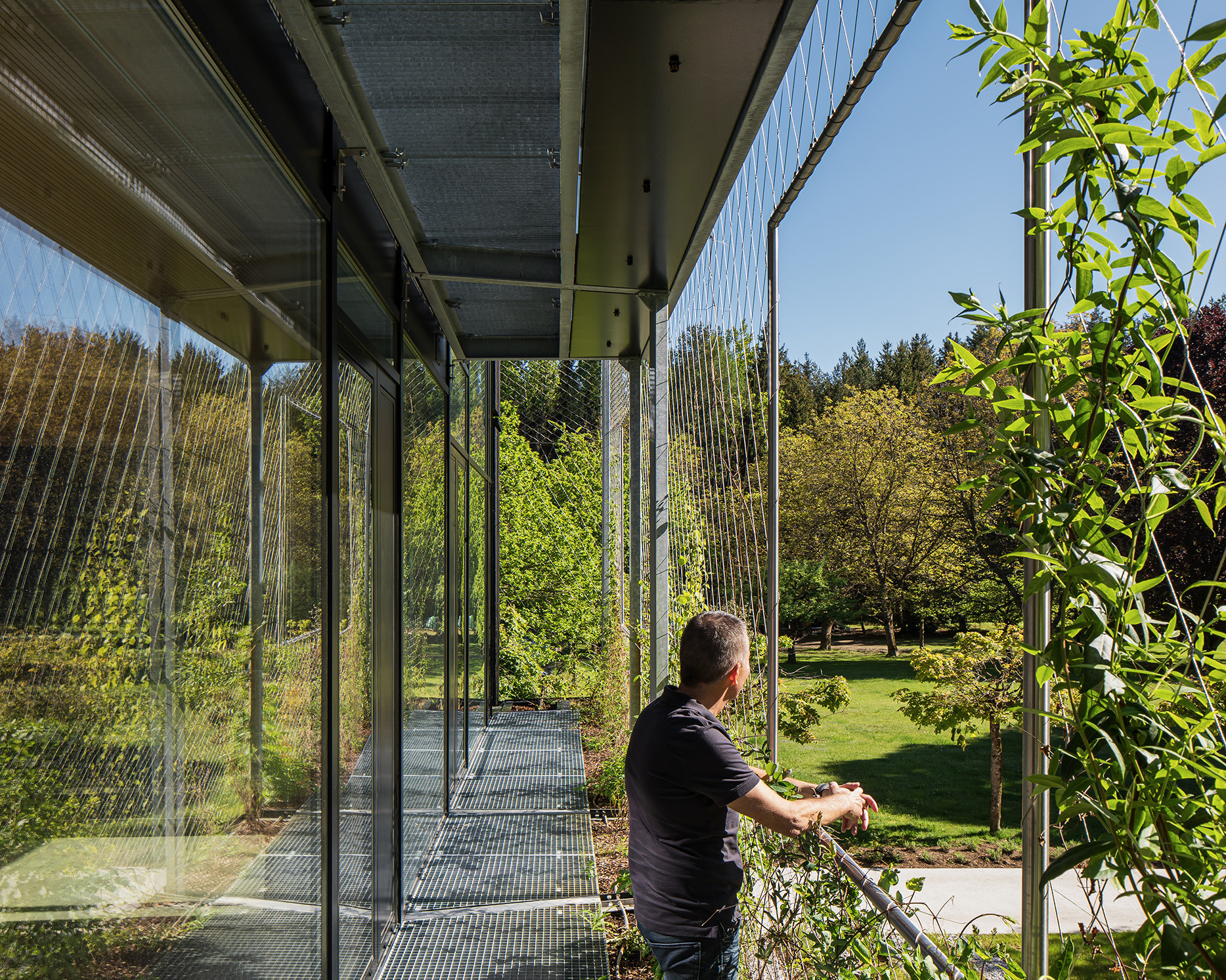 Auf der Westseite kann das Rankgestell als Balkon benutzt werden.