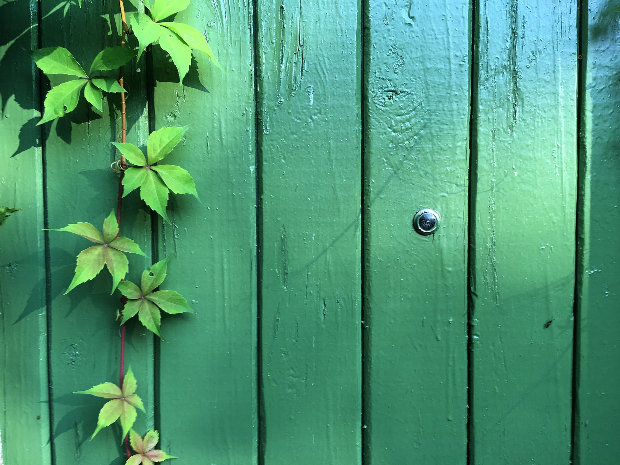 ein Türspion in einer Holztür