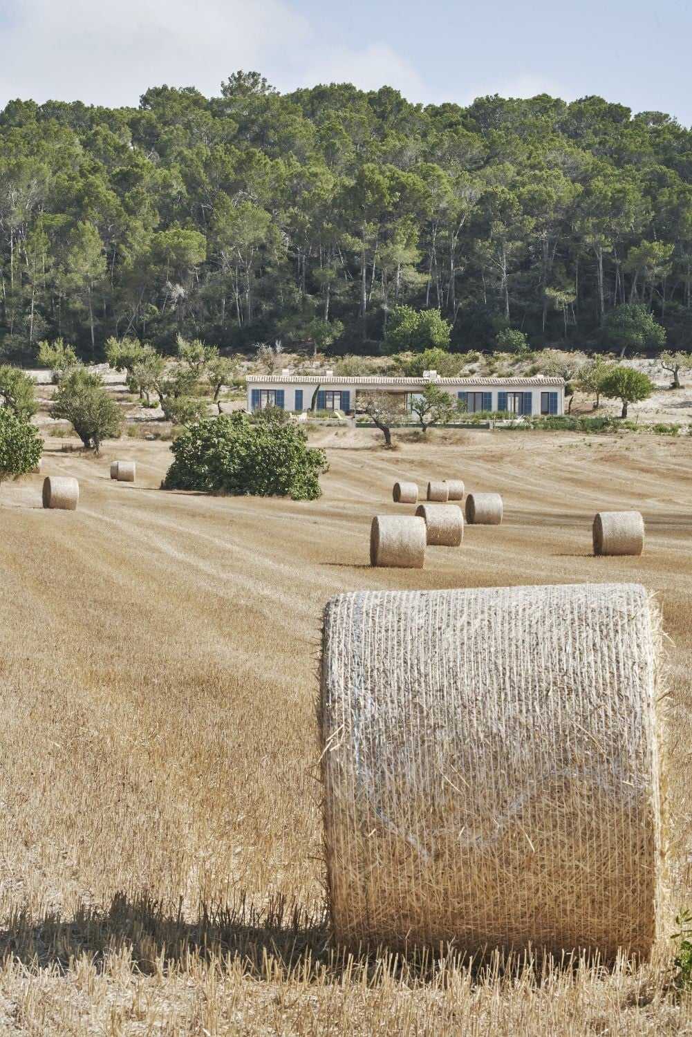 Kaum erkennbar: Der längliche Baukörper fügt sich unauffällig in die Landschaft ein.