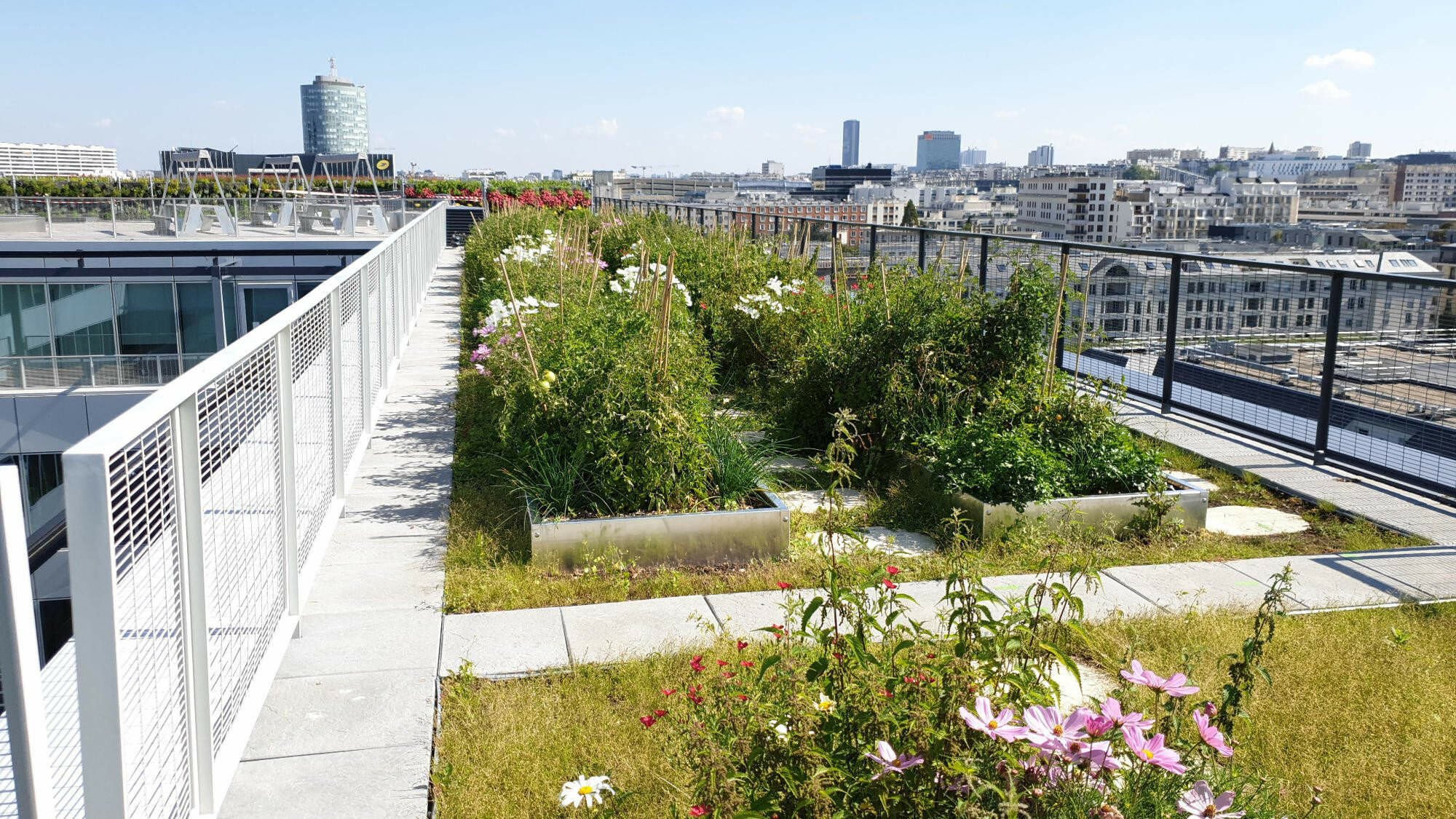 Umbau eines Bürogebäudes in Paris Nachhaltig Bauen Büro