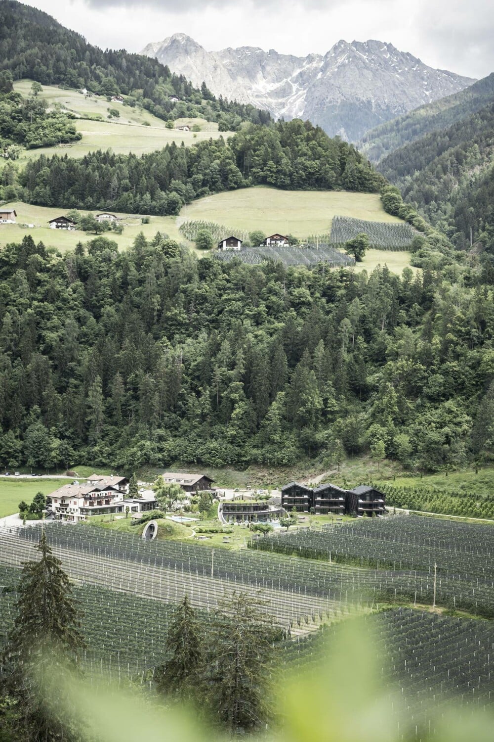 Die Anlage umfasst landwirtschaftliche Bereiche und Hotelgebäude.