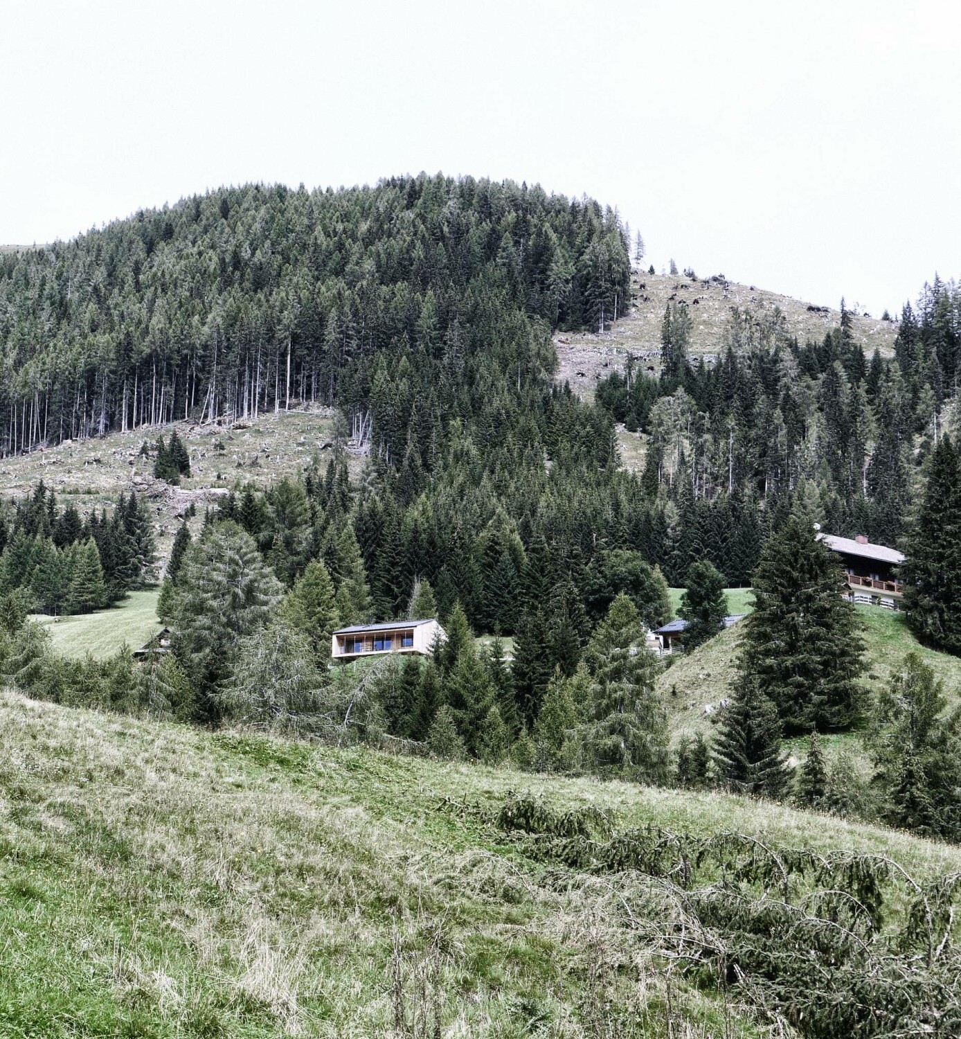 Damit sich das Haus möglichst rücksichtsvoll in die Landschaft eingliedert, machte man sich die Topographie des Hanggrundstückes zunutze. 