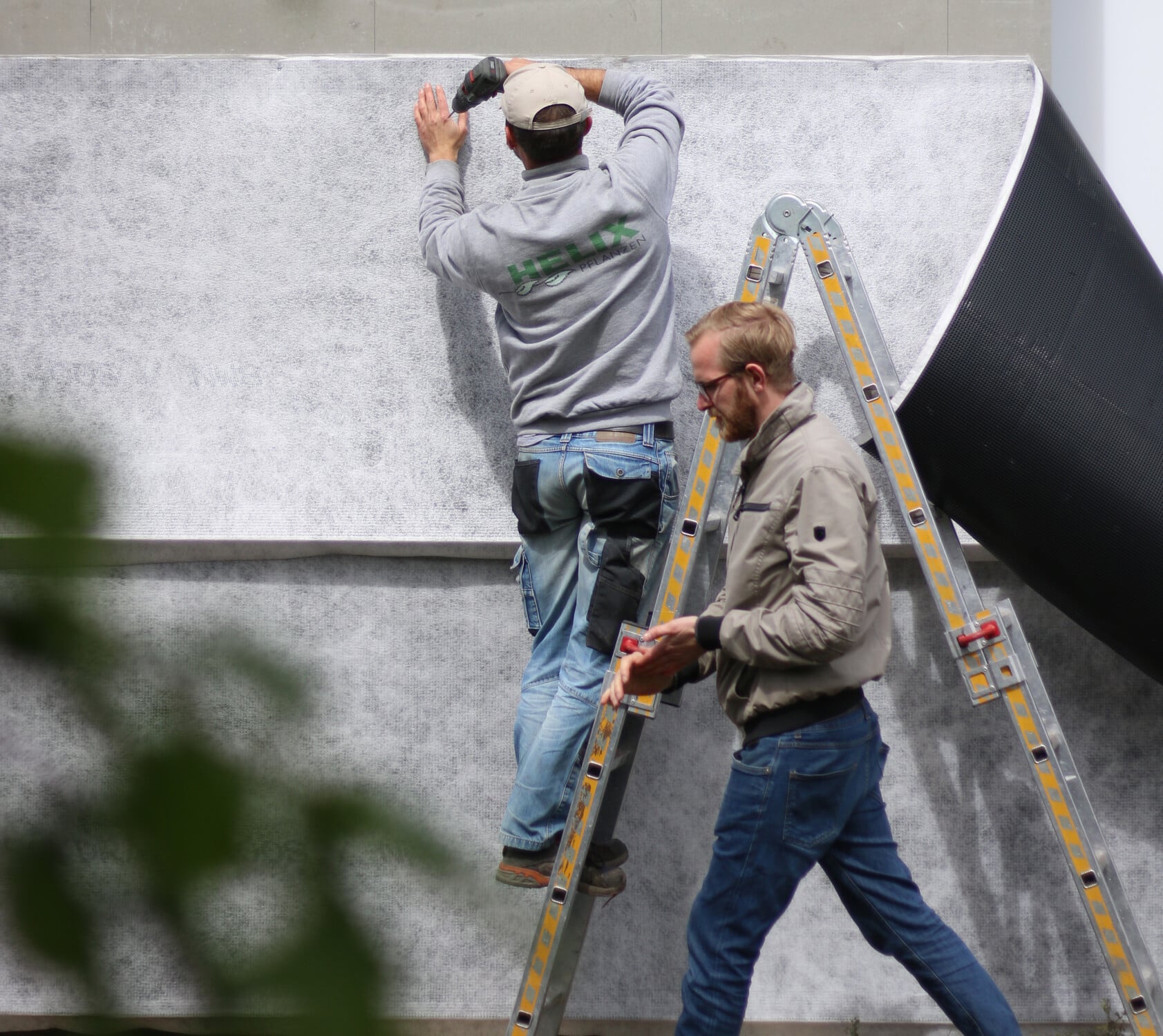 Eine wasserfeste Trägerplatte und ein Drainagevlies bildet den Untergrund.