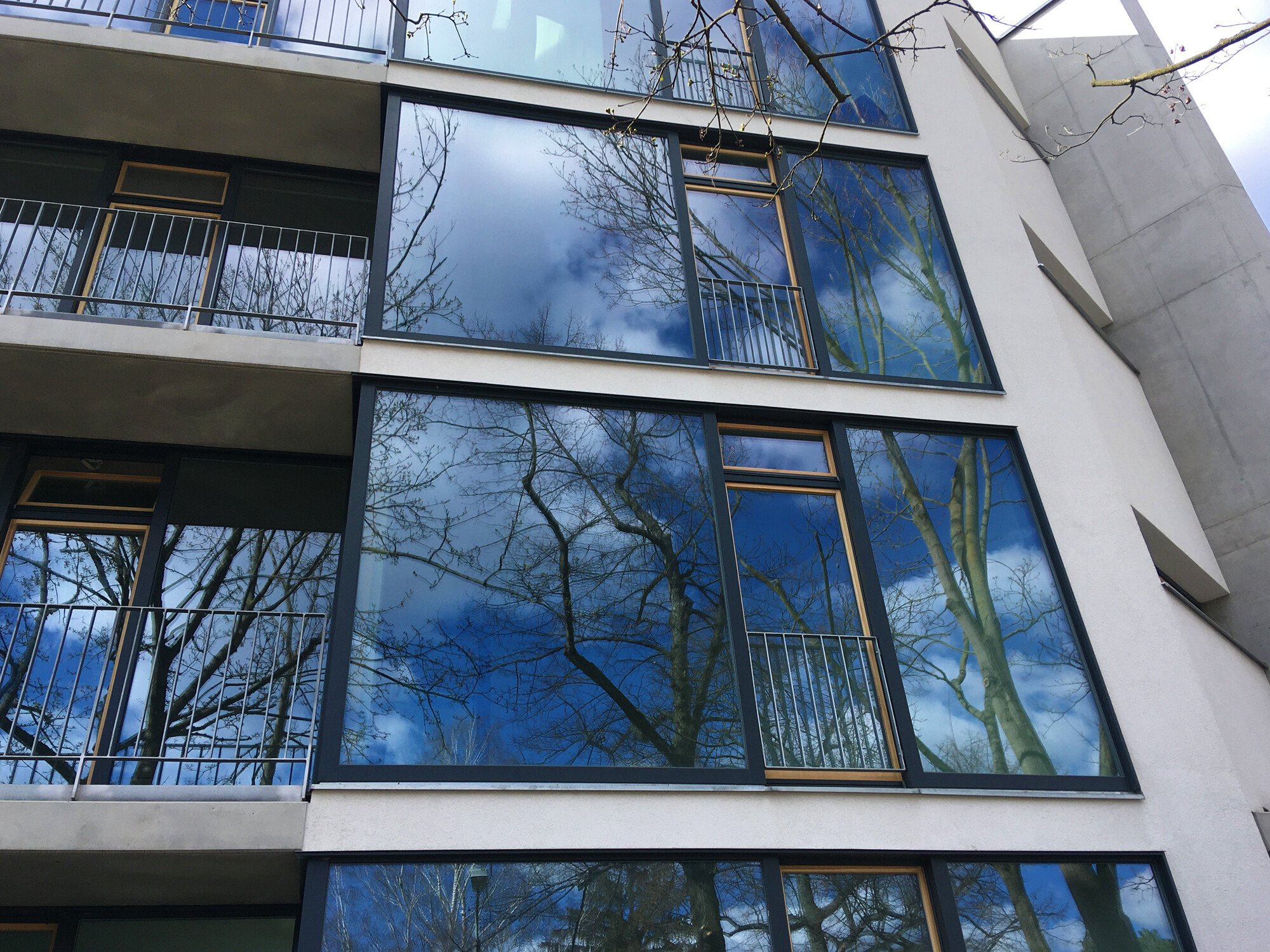 Festverglaste Fenster | Fenster und Türen | Fensterarten | Baunetz_Wissen