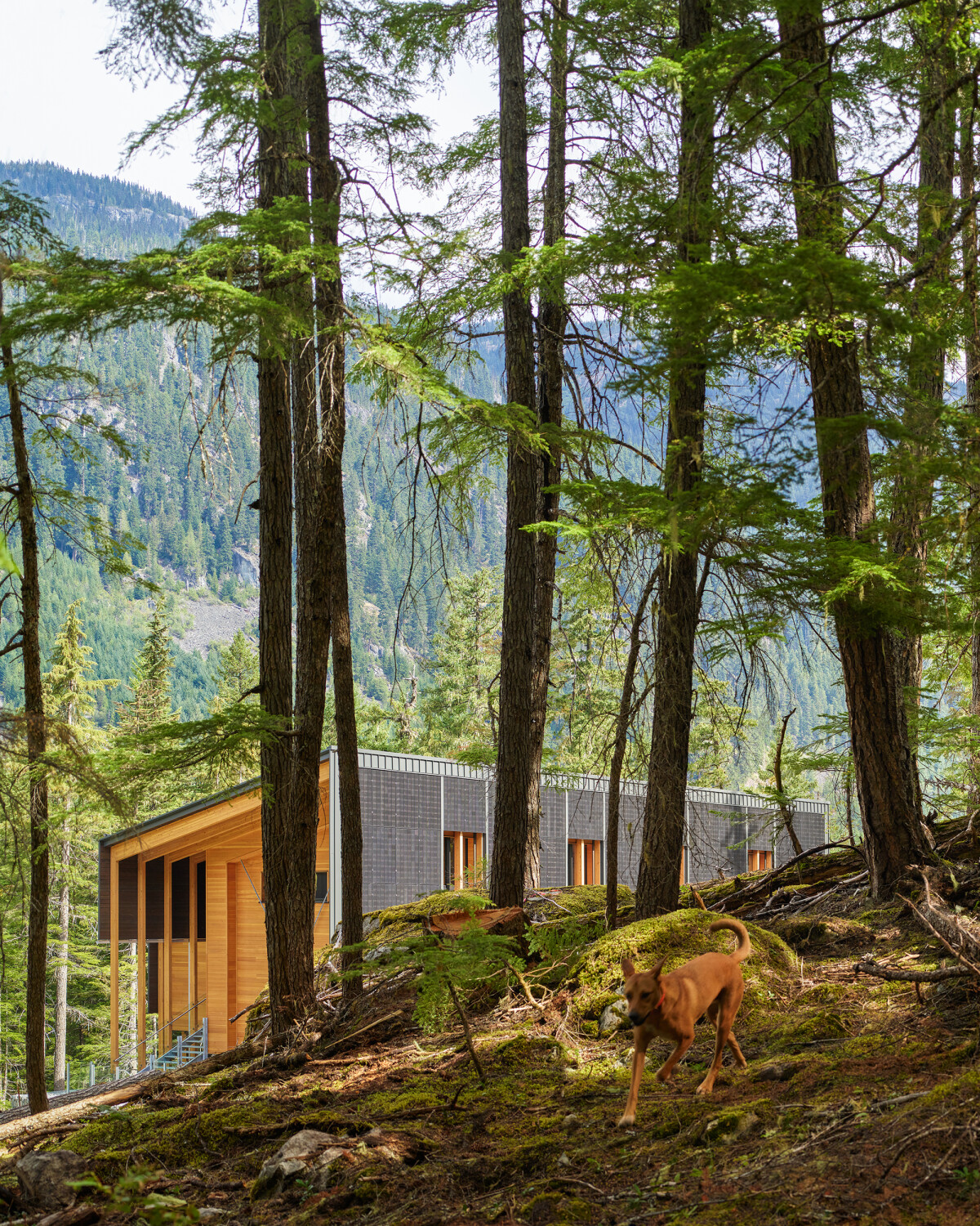 Ferienhaus im SquamishLillooet Regional District Nachhaltig Bauen