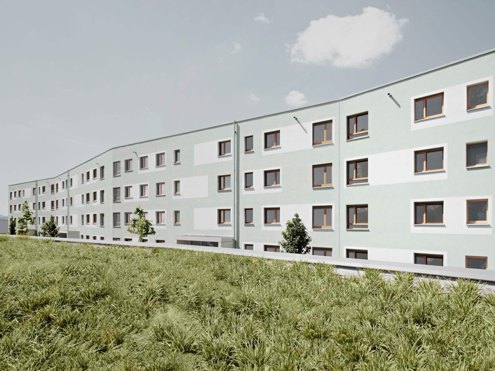 Blick von der begrünten Stellplatzanlage auf die straßenseitige Fassade.