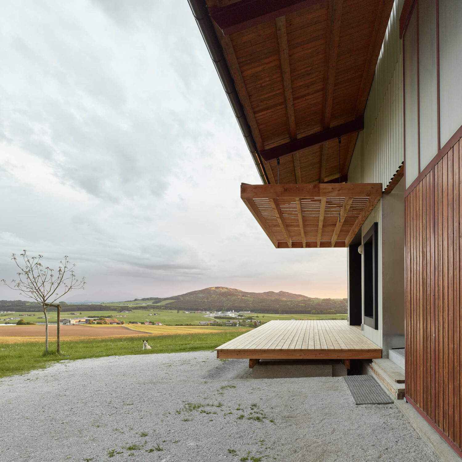 Die Planerinnen und Planer entschieden sich, ein Haus im Haus zu errichten.