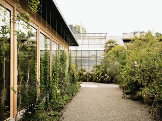 Der neue Vortragsraum im Botanischen Garten St. Gallen von Architekt Tom Munz ist von Pflanzen überwachsen.