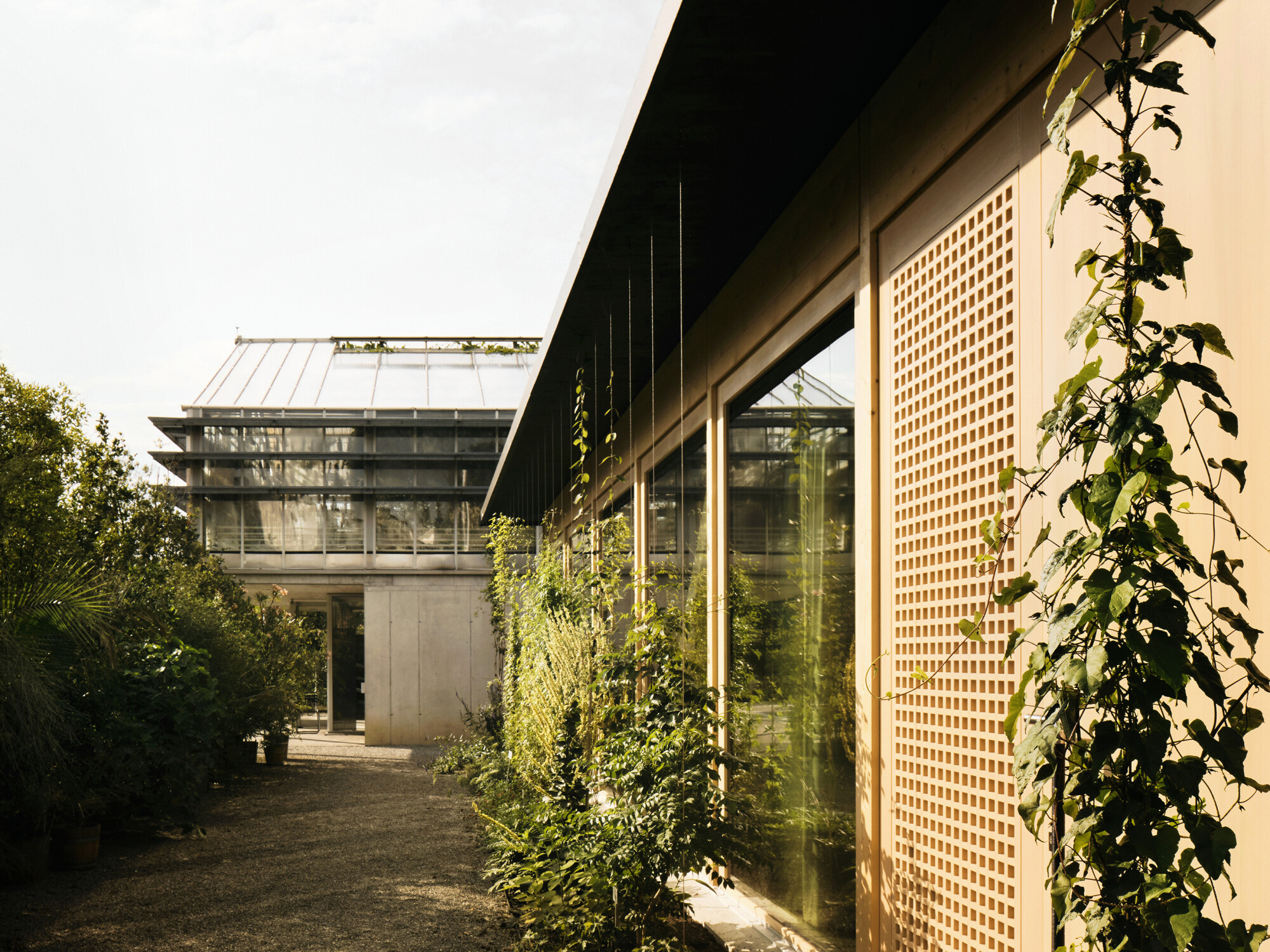 Das grüne Pflanzenkleid um die Fassade schützt vor Sommerhitze und Einblicken und bindet den Pavillon thematisch in den Garten ein.