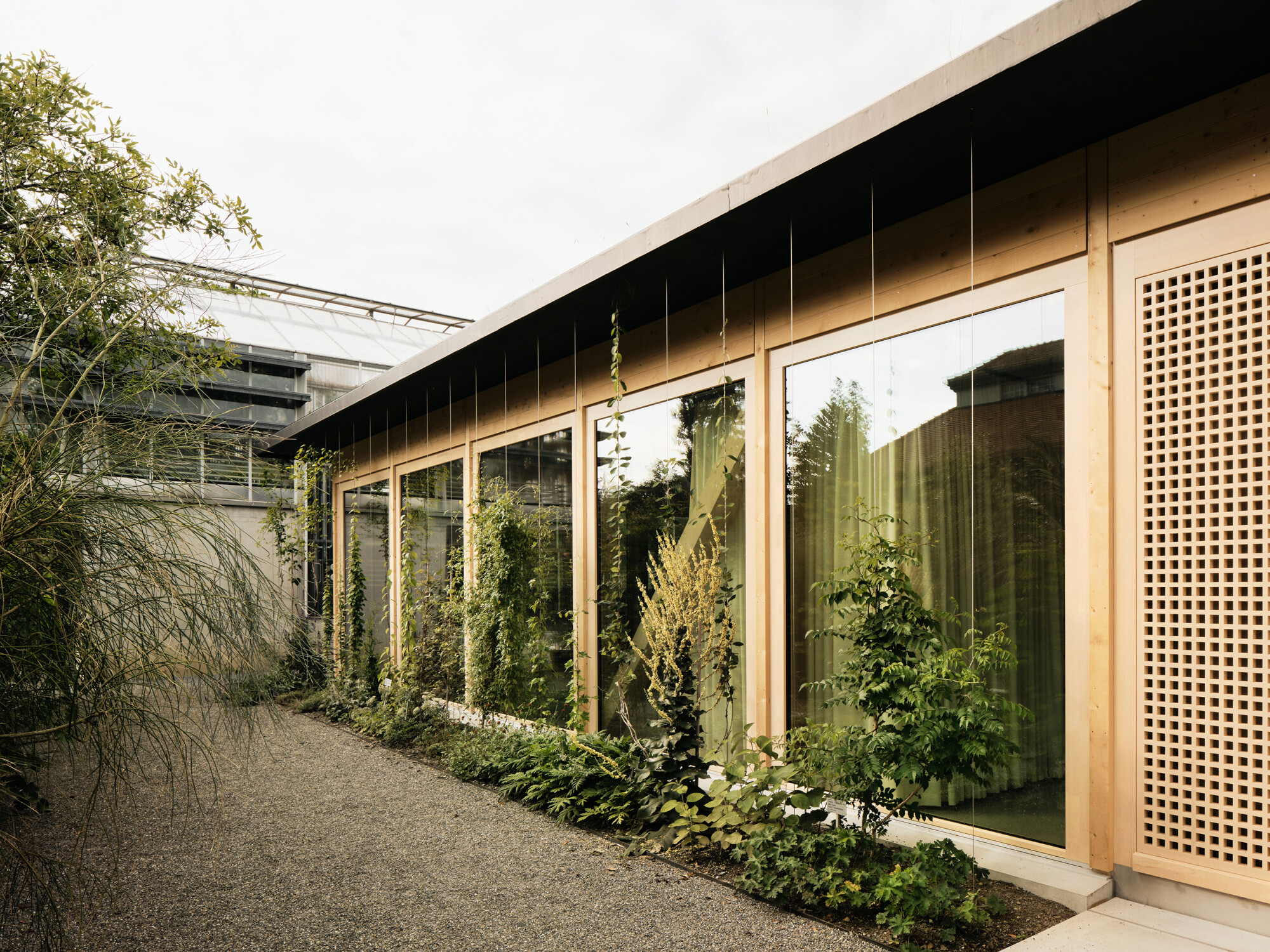 Inspiriert von Orangerien entwarf das Planungsteam eine verglaste Holzkonstruktion.