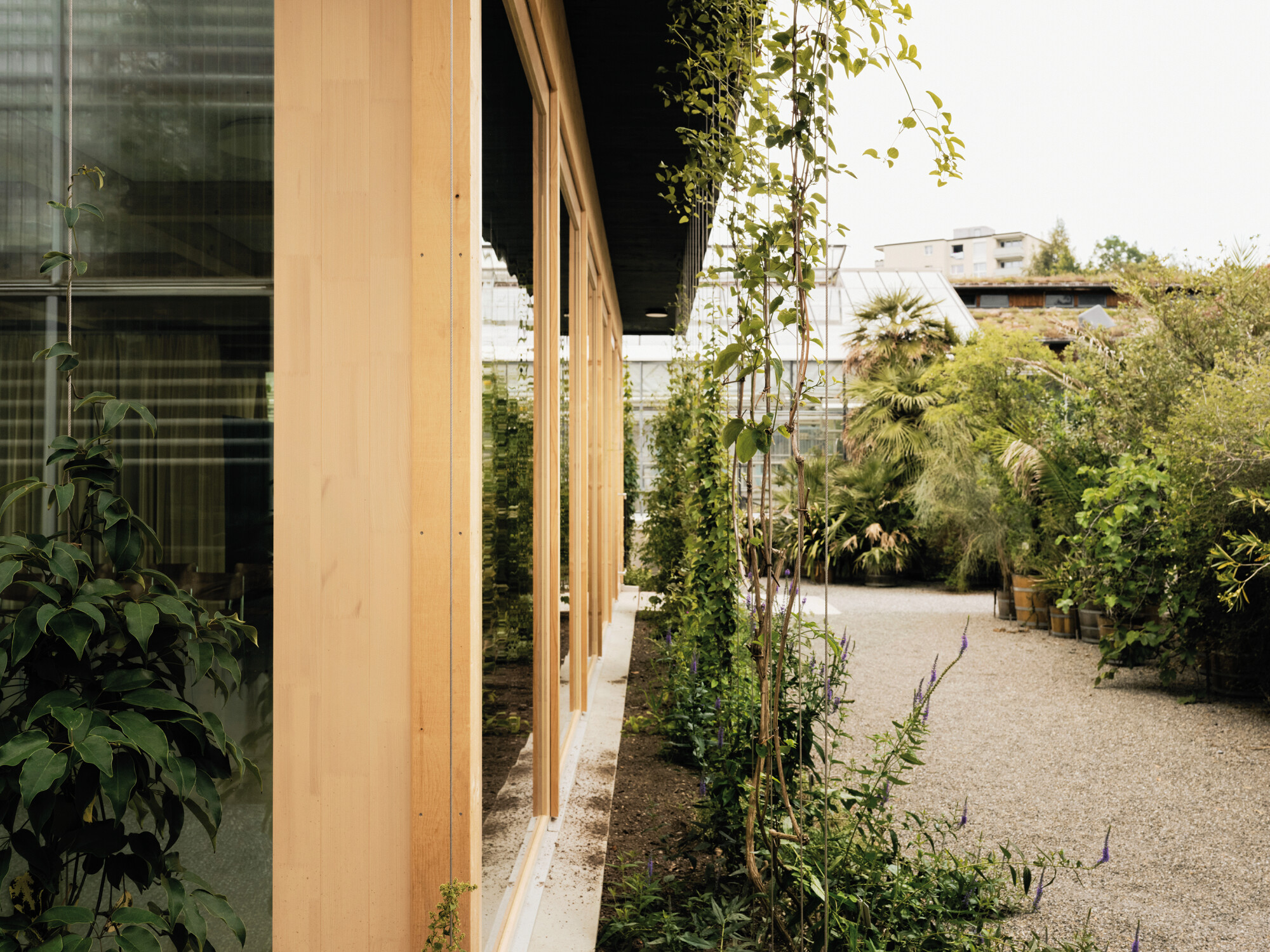 Der Pavillon liegt direkt neben dem Tropenhaus und ersetzt den alten Vortragsraum sowie drei Anzuchthäuser.
