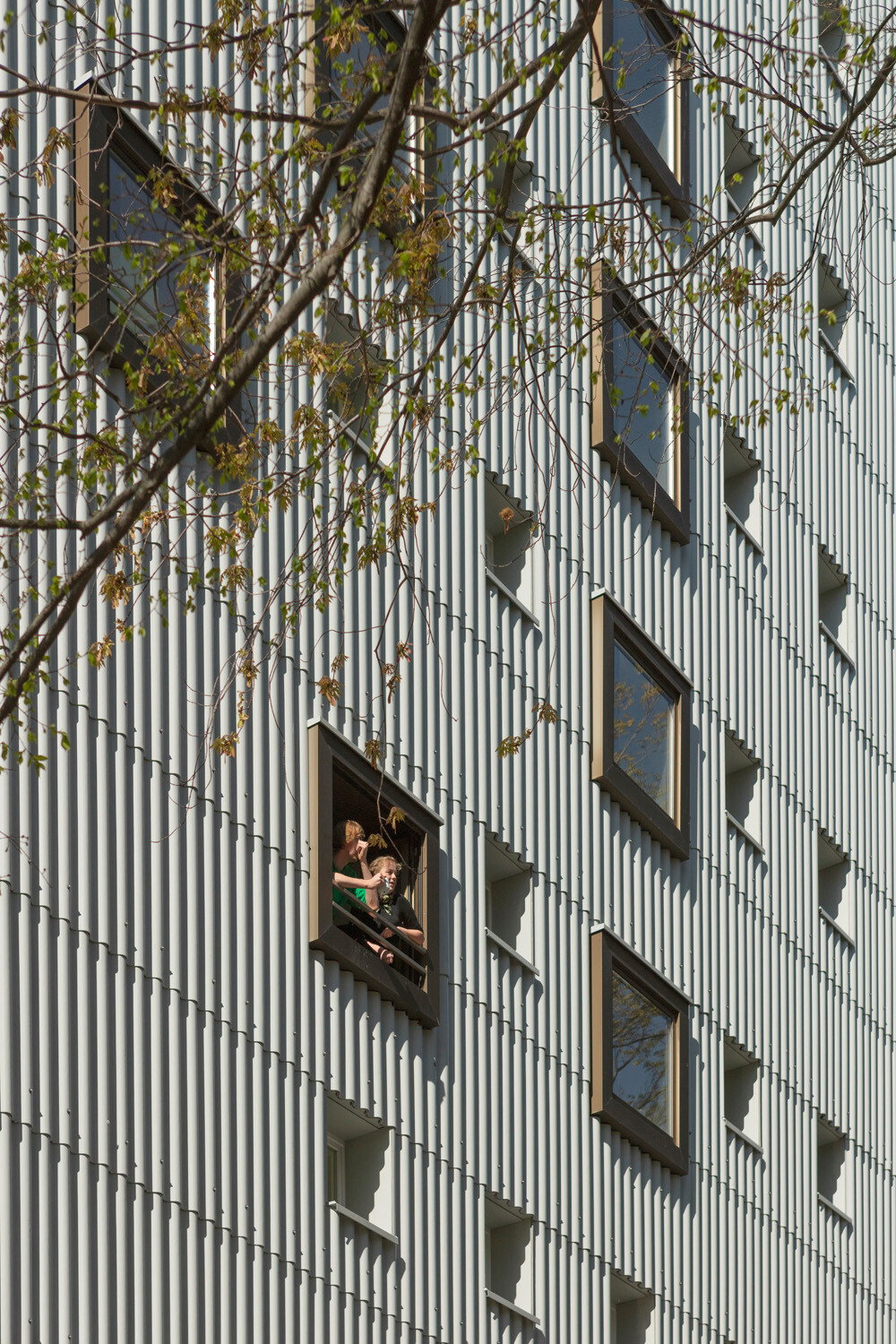Große und kleine Fensterelemente wurden in die Fassade aus Faserzement-Wellplatten hineingewürfelt.