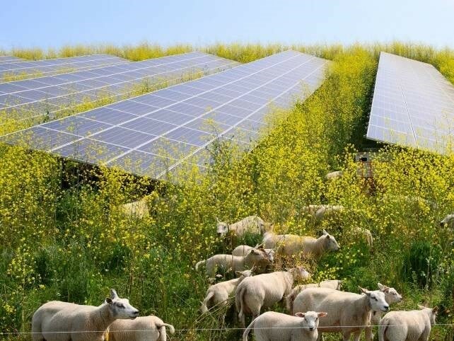Im Auftrag von Greenpeace veröffentlicht das Fraunhofer-Institut für Solare Energiesysteme ISE eine Kurzstudie zu Bedarf und Potenzialen der Photovoltaik unter dem Titel "Solaroffensive - Wie wir mit Sonnenenergie einen Wirtschaftsboom entfesseln und das Klima schützen".