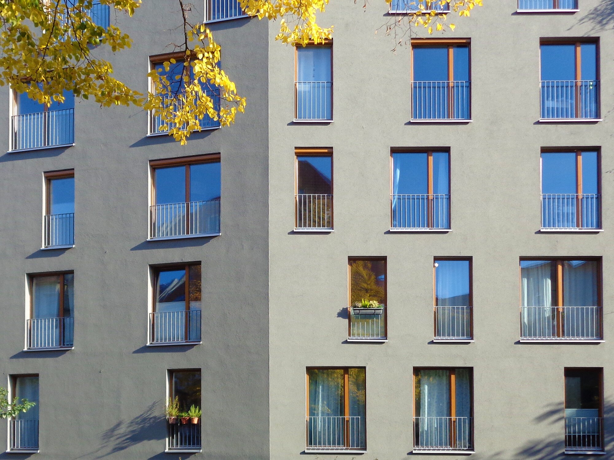 Französisches Fenster Fenster und Türen Fensterarten