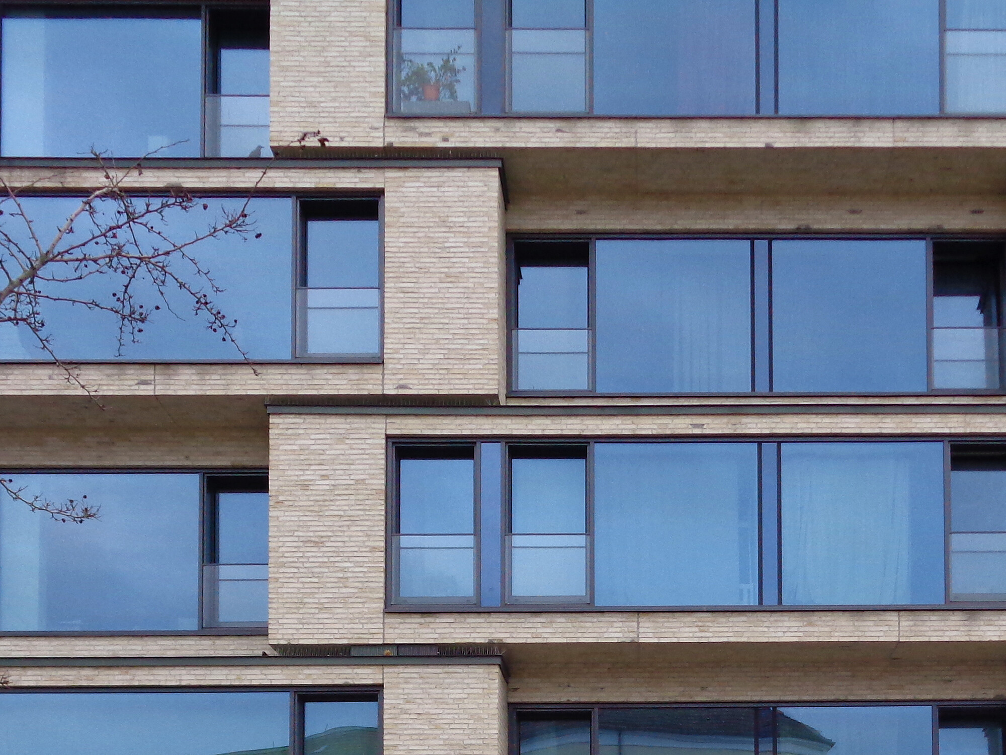 Französisches Fenster Fenster und Türen Fensterarten